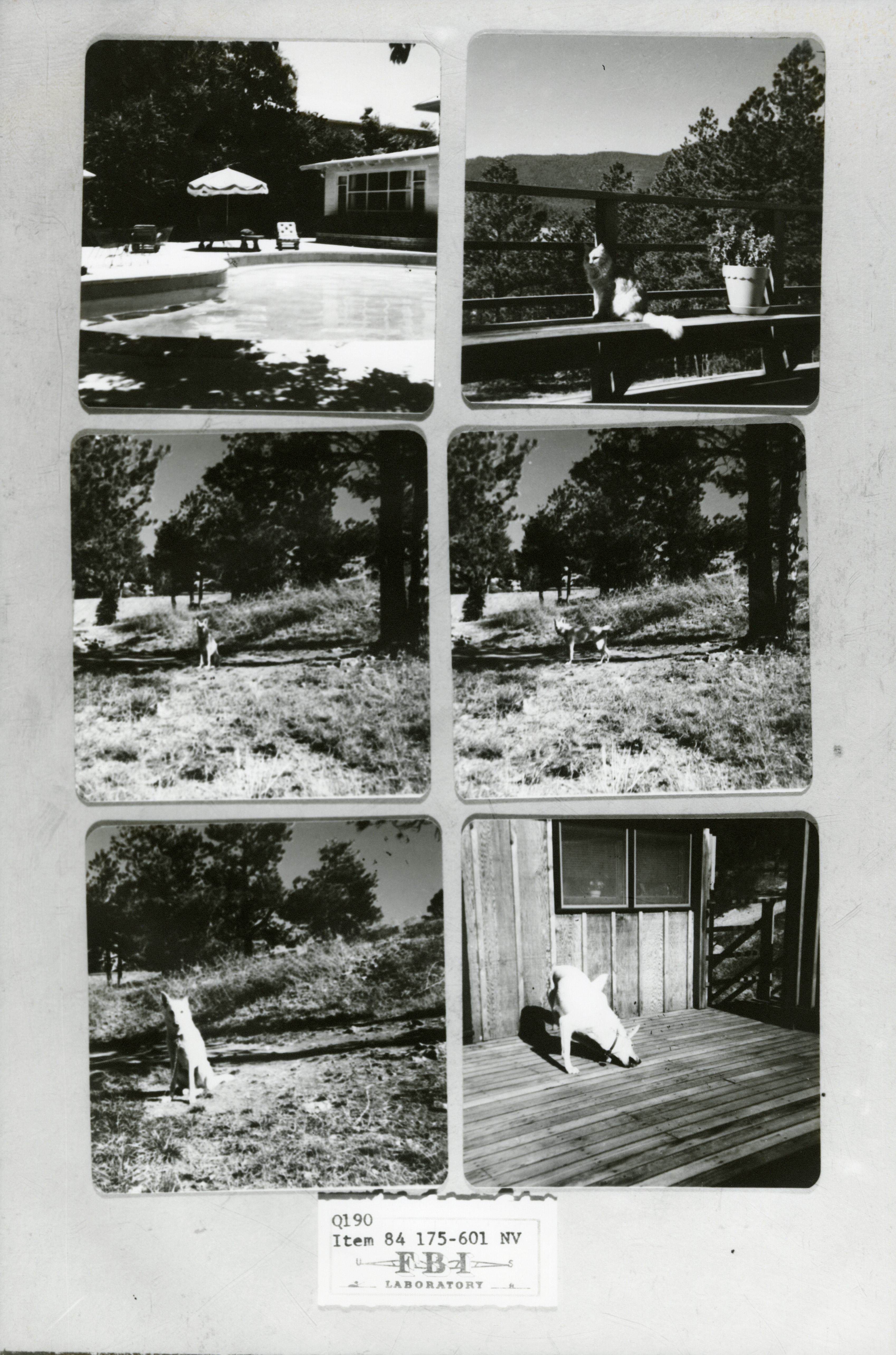 hinckley photos