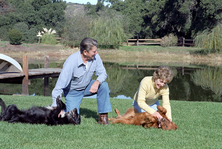 C11452-7, President Reagan and Nancy Reagan playing with their dogs "M...