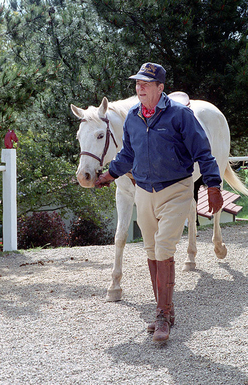 C40206-18, President Reagan getting ready to ride his horse "El Alamei...