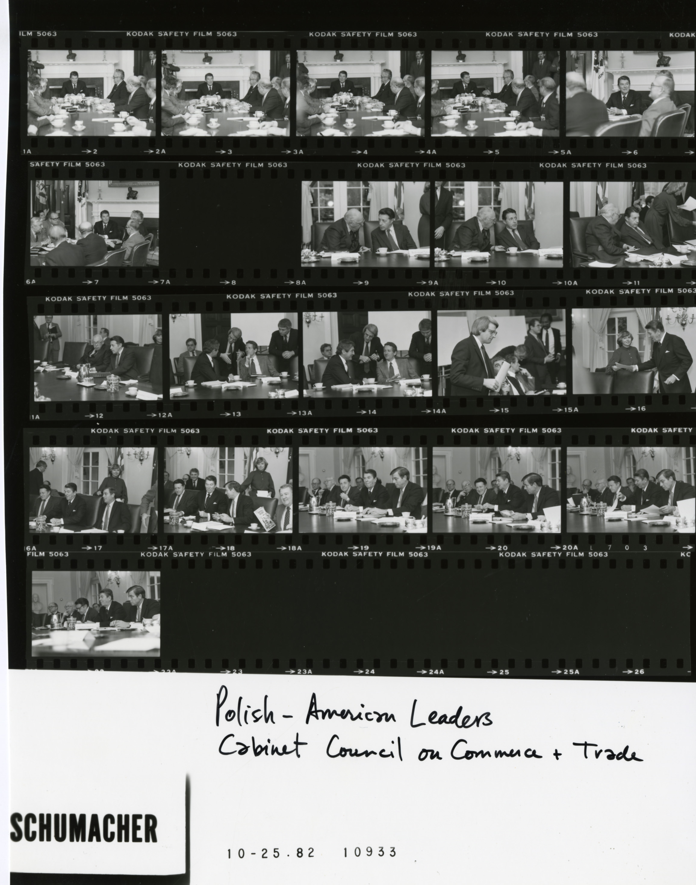 10933.jpg polish-american leaders