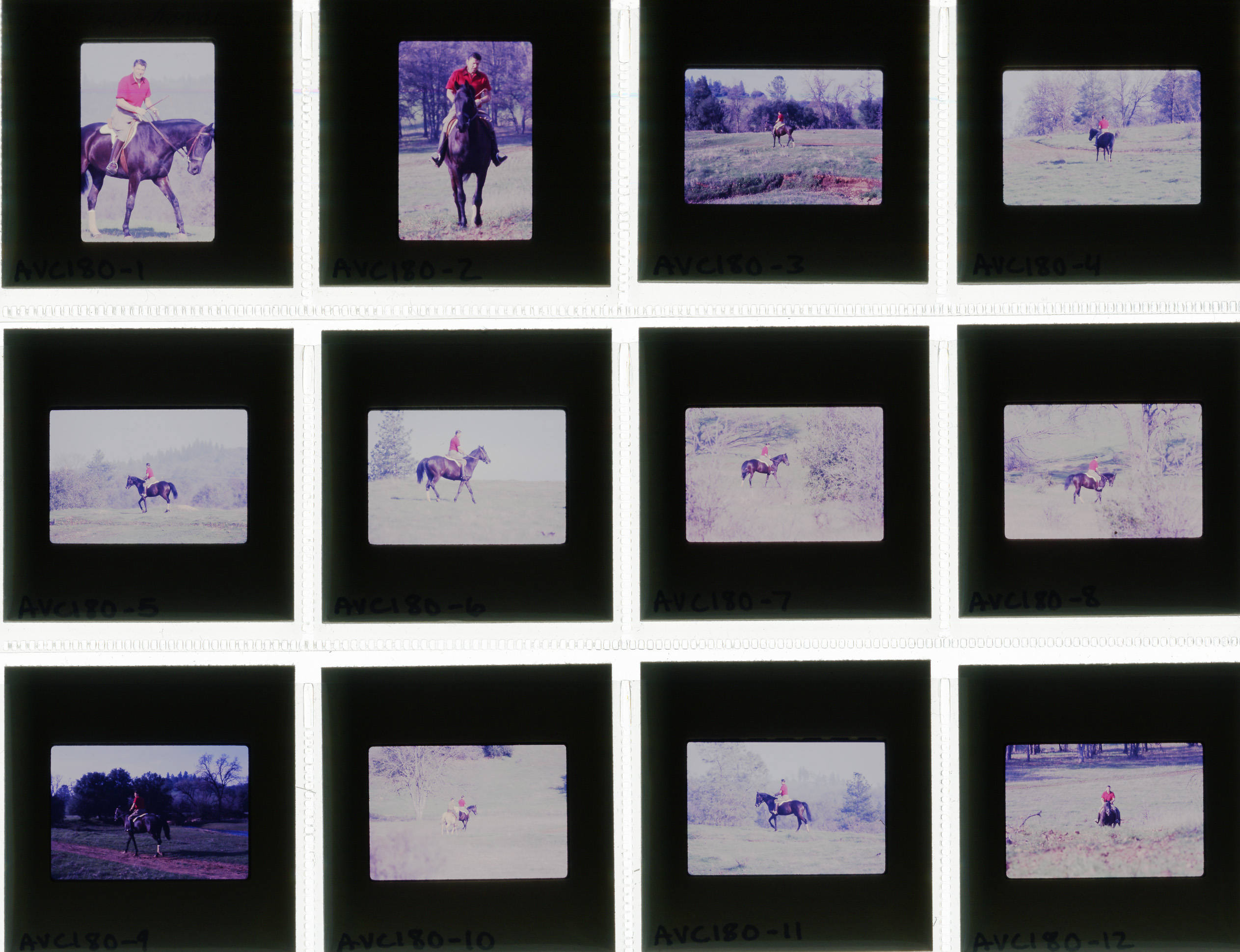 AVC180.jpg horseback riding