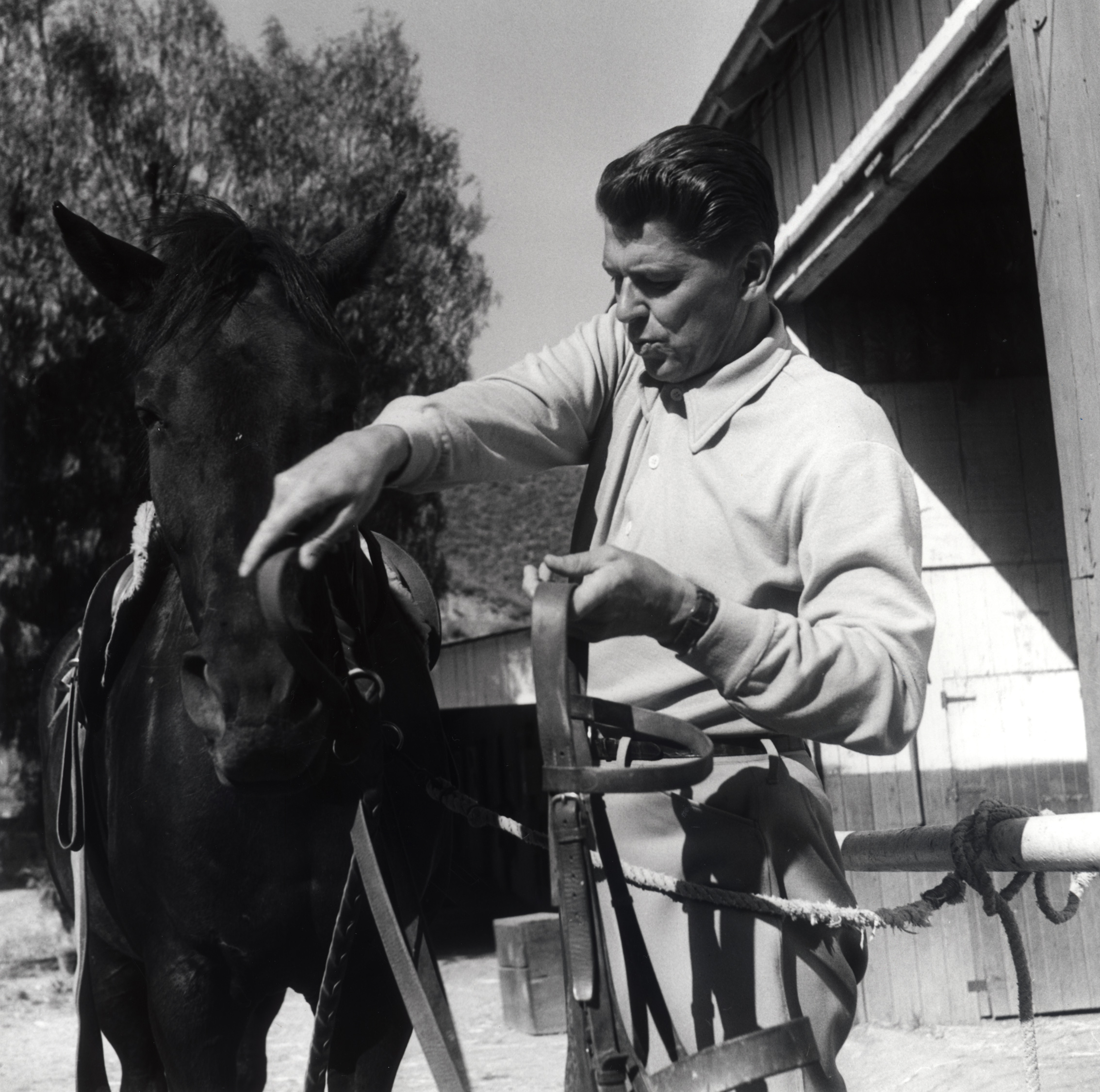 GB61.jpg Malibu Canyon Ranch