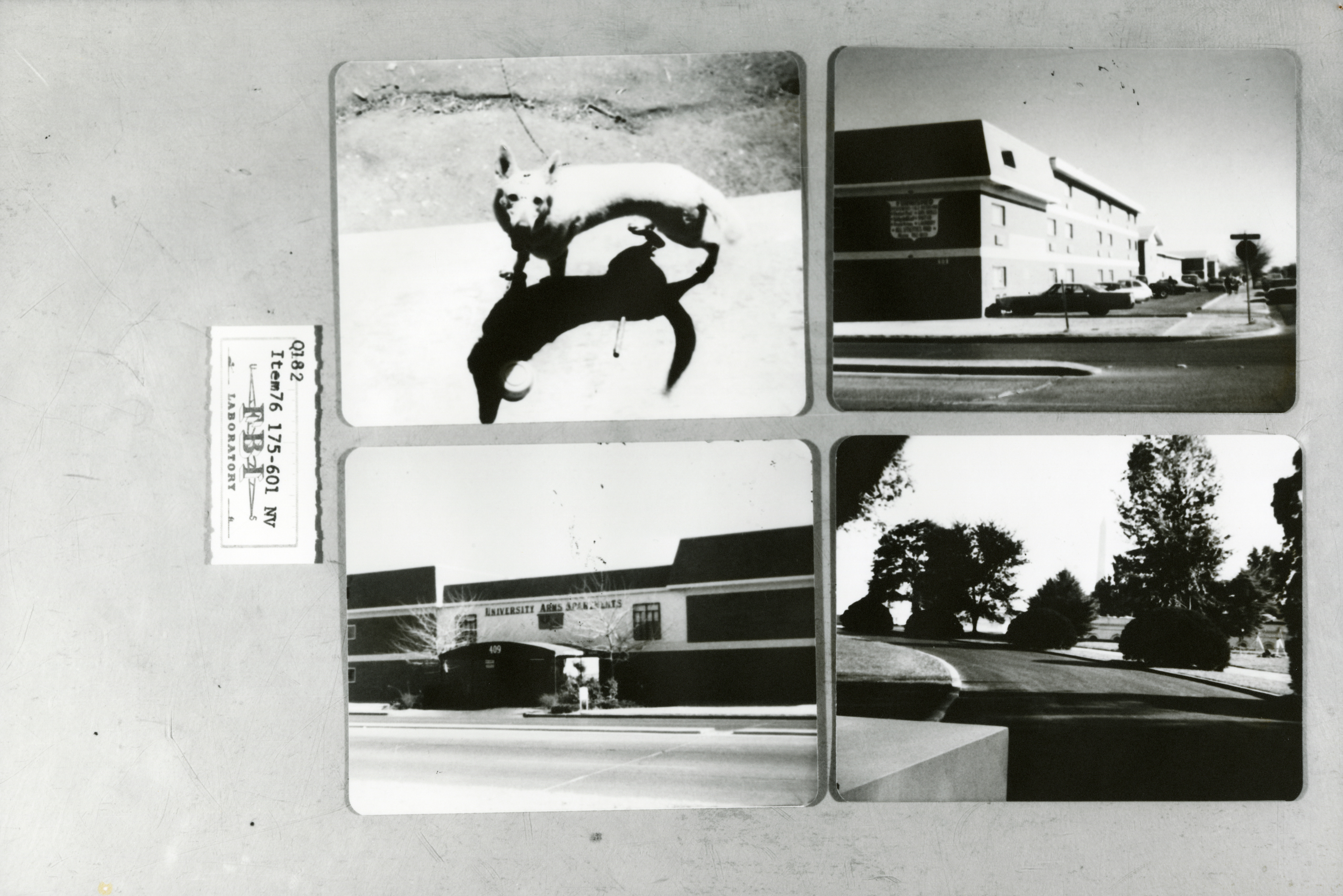 rr-jhj-451.jpg photos