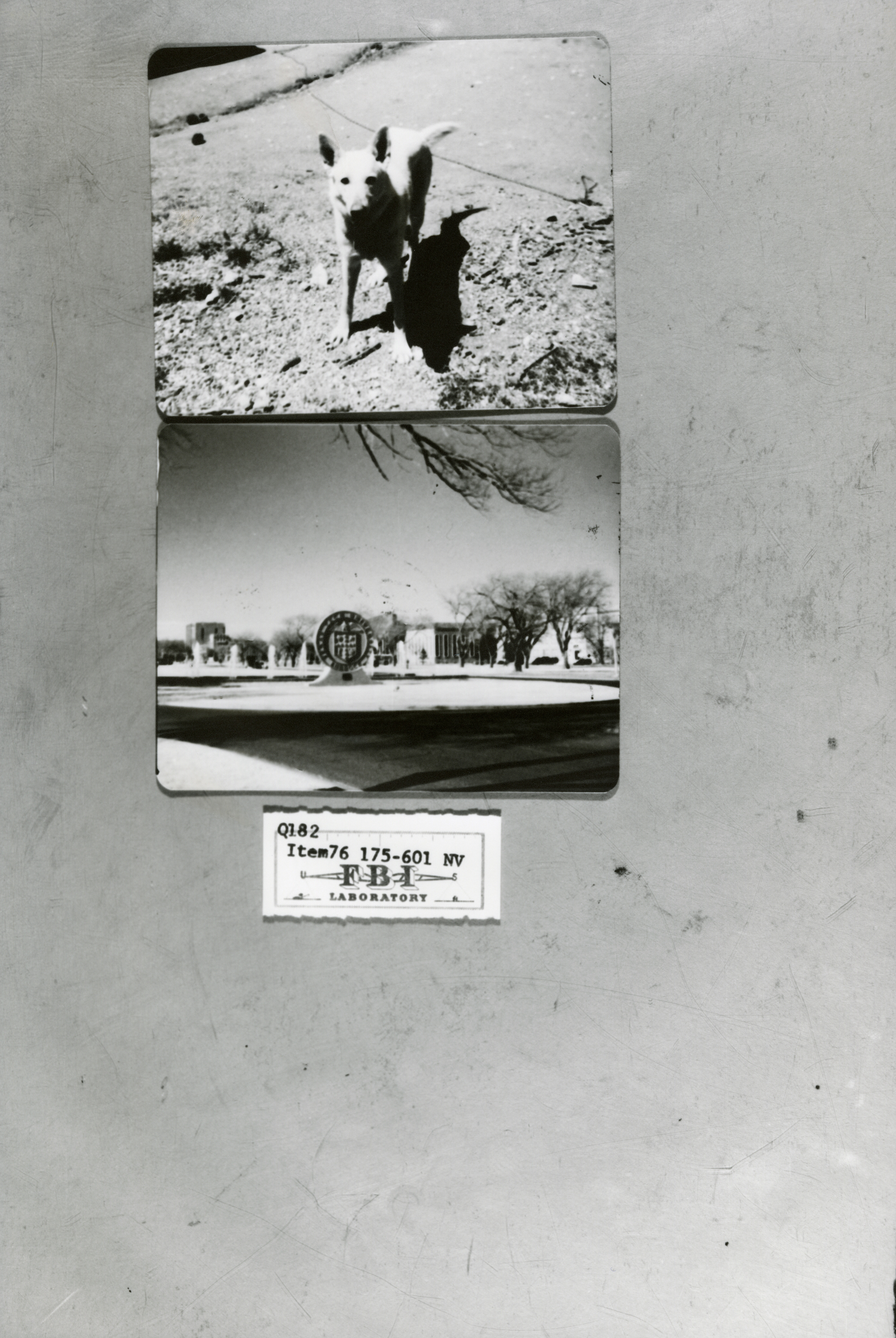 rr-jhj-453.jpg photos