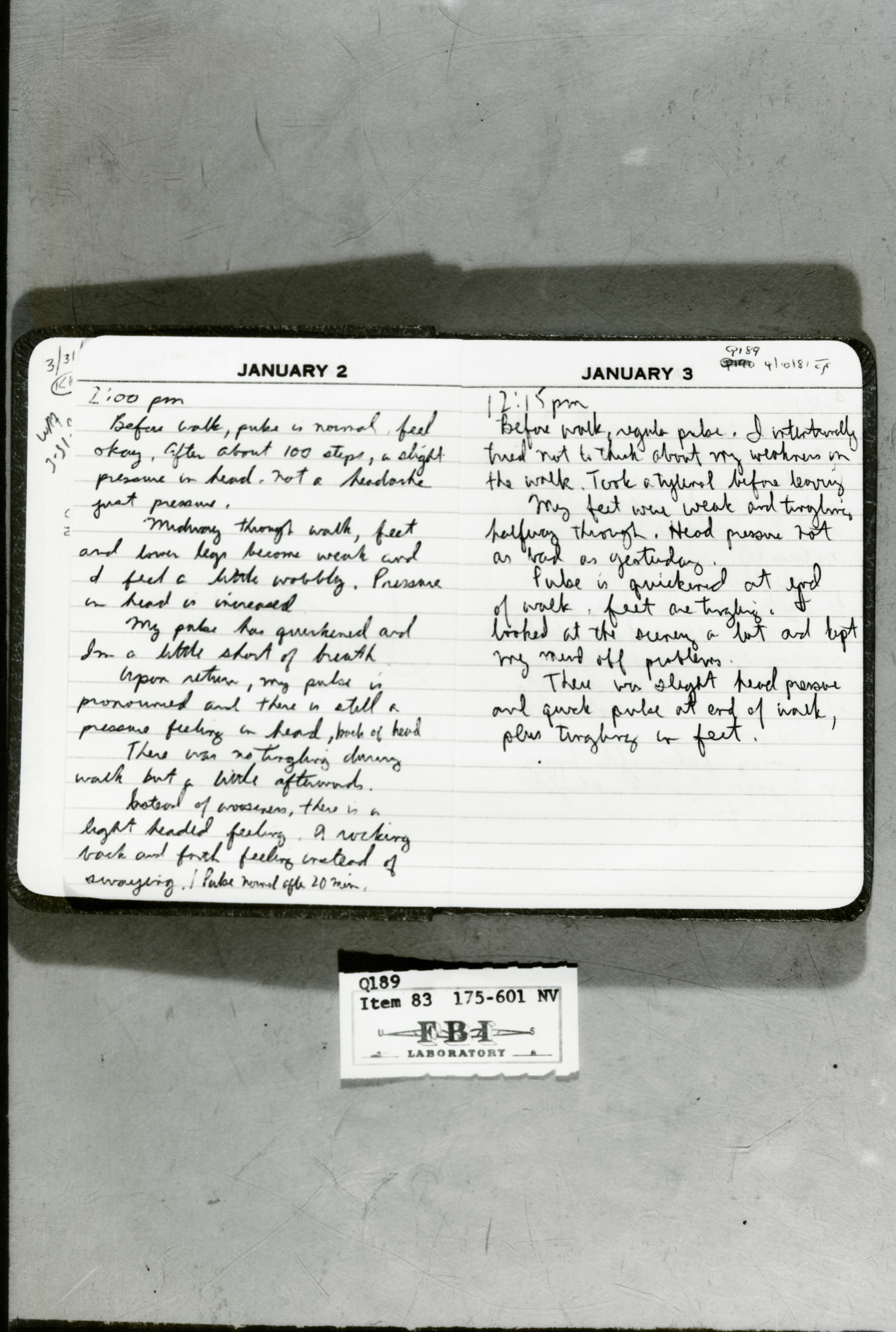 rr-jhj-471.jpg diary