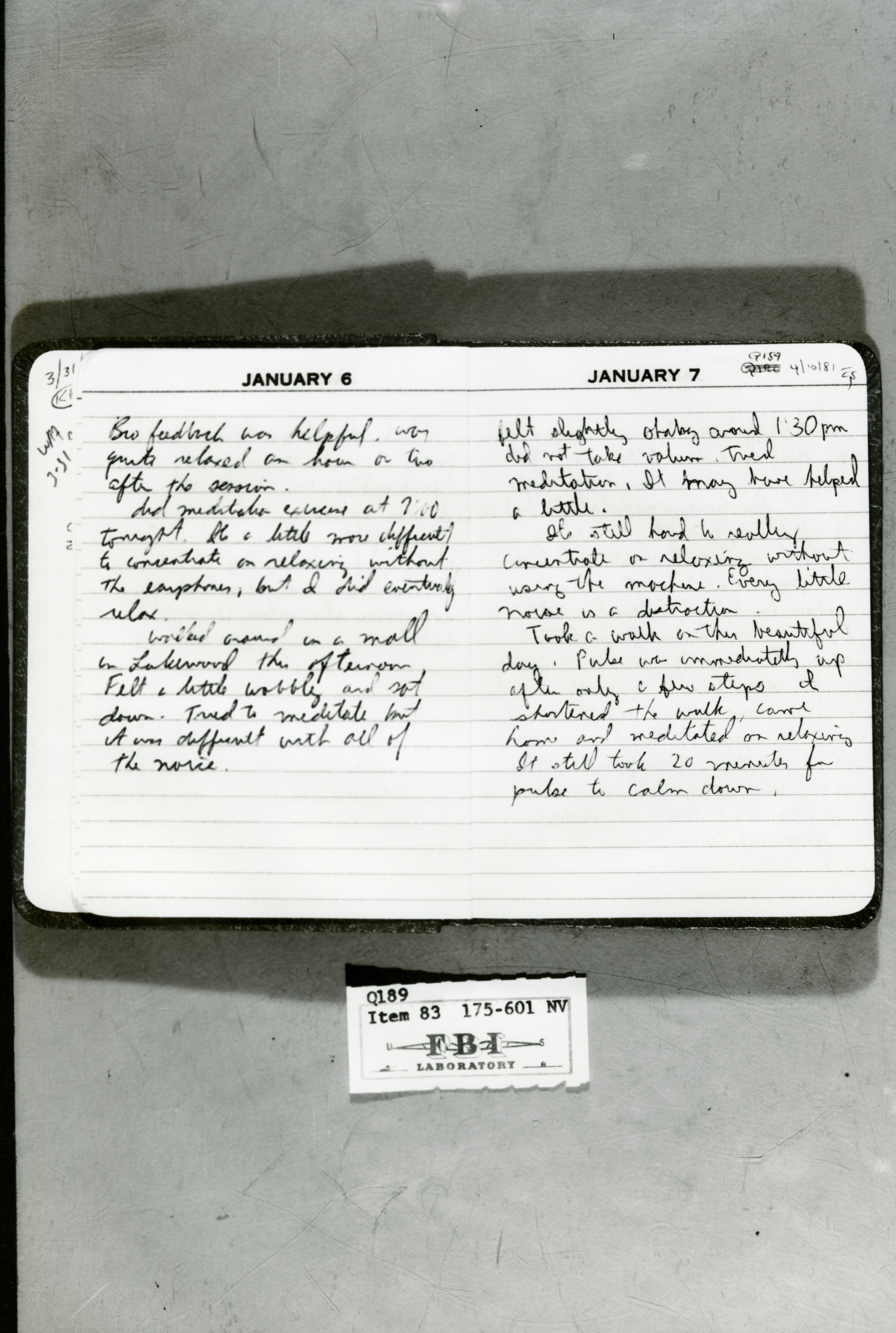 rr-jhj-473.jpg diary