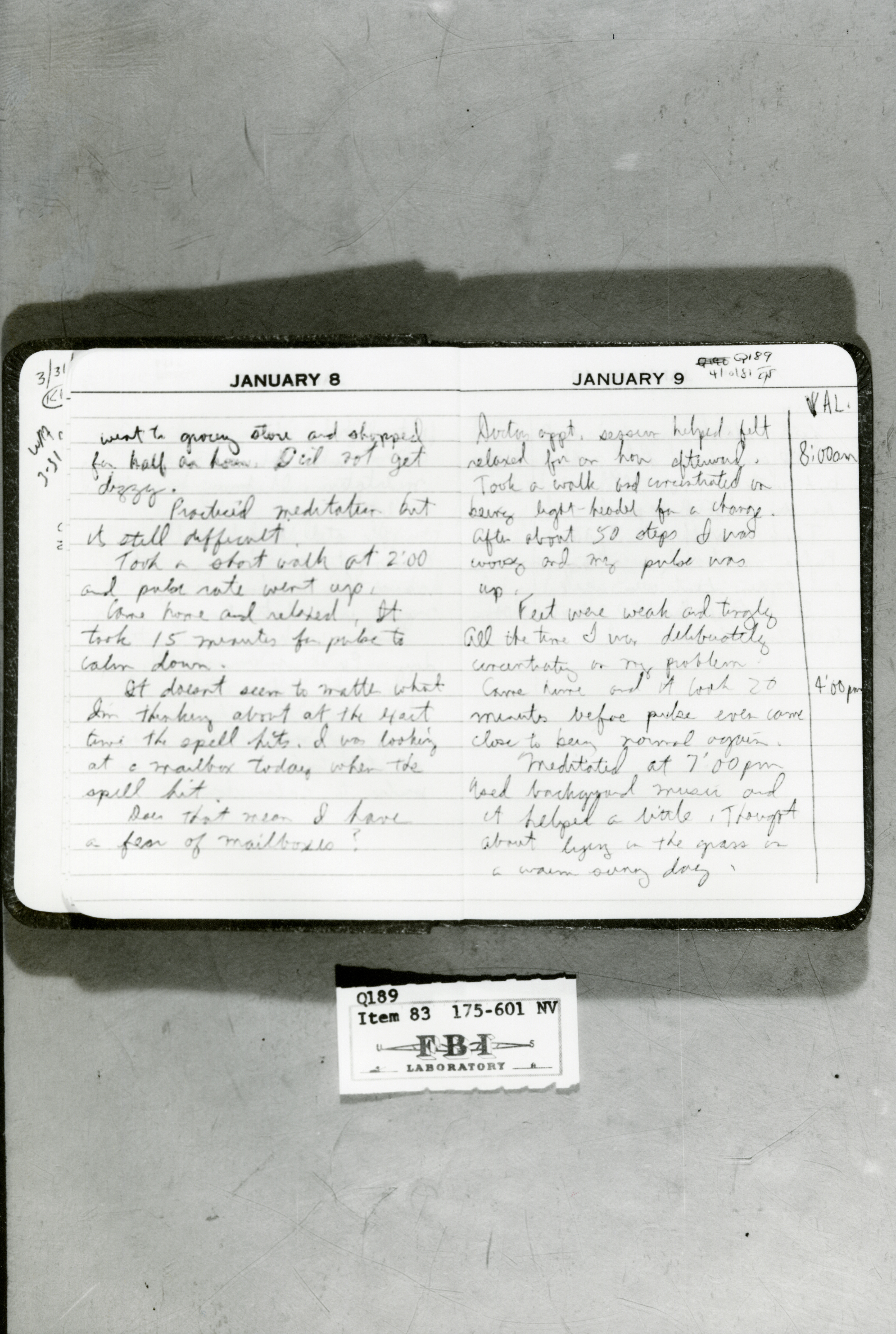 rr-jhj-474.jpg diary