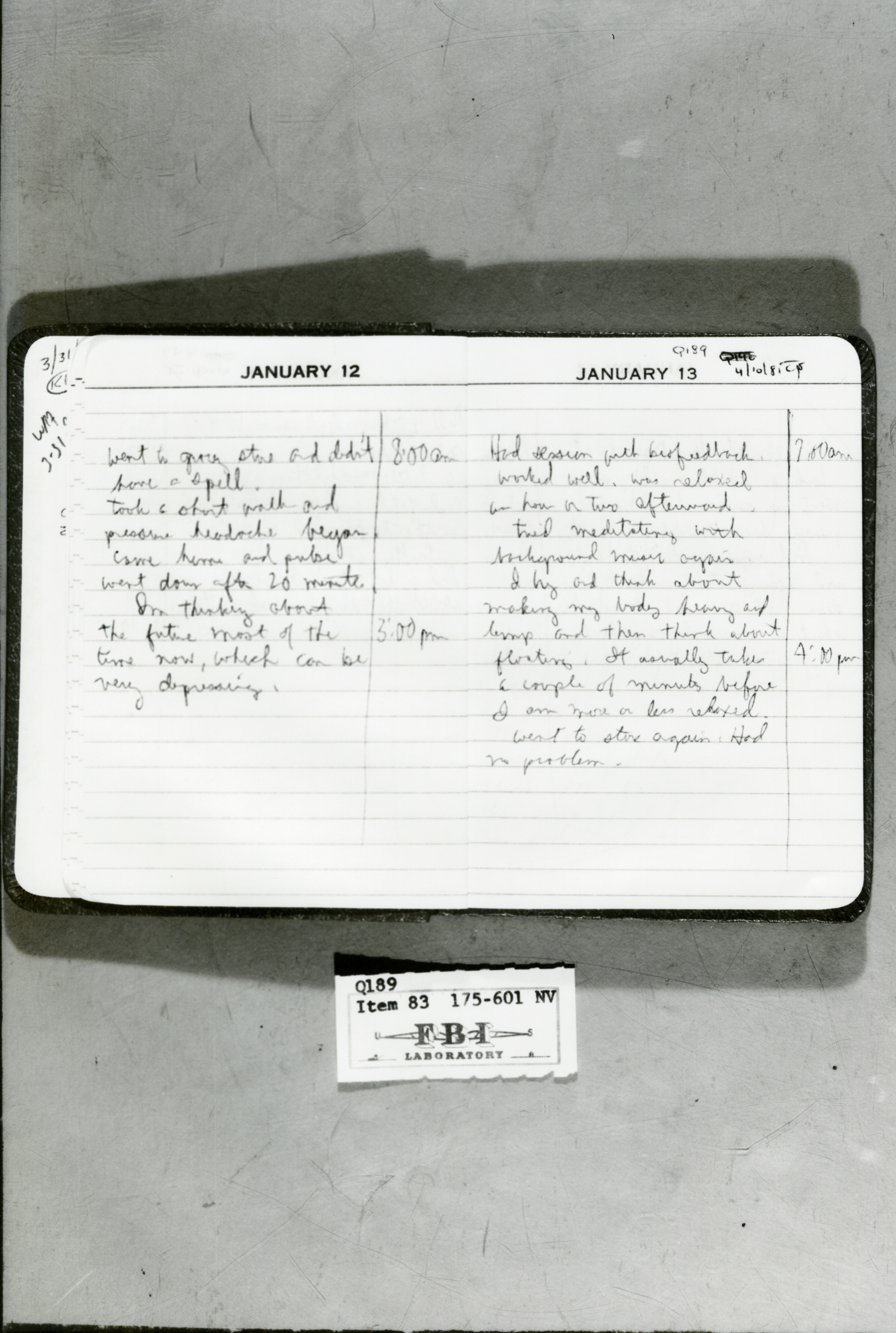 rr-jhj-474A.jpg diary