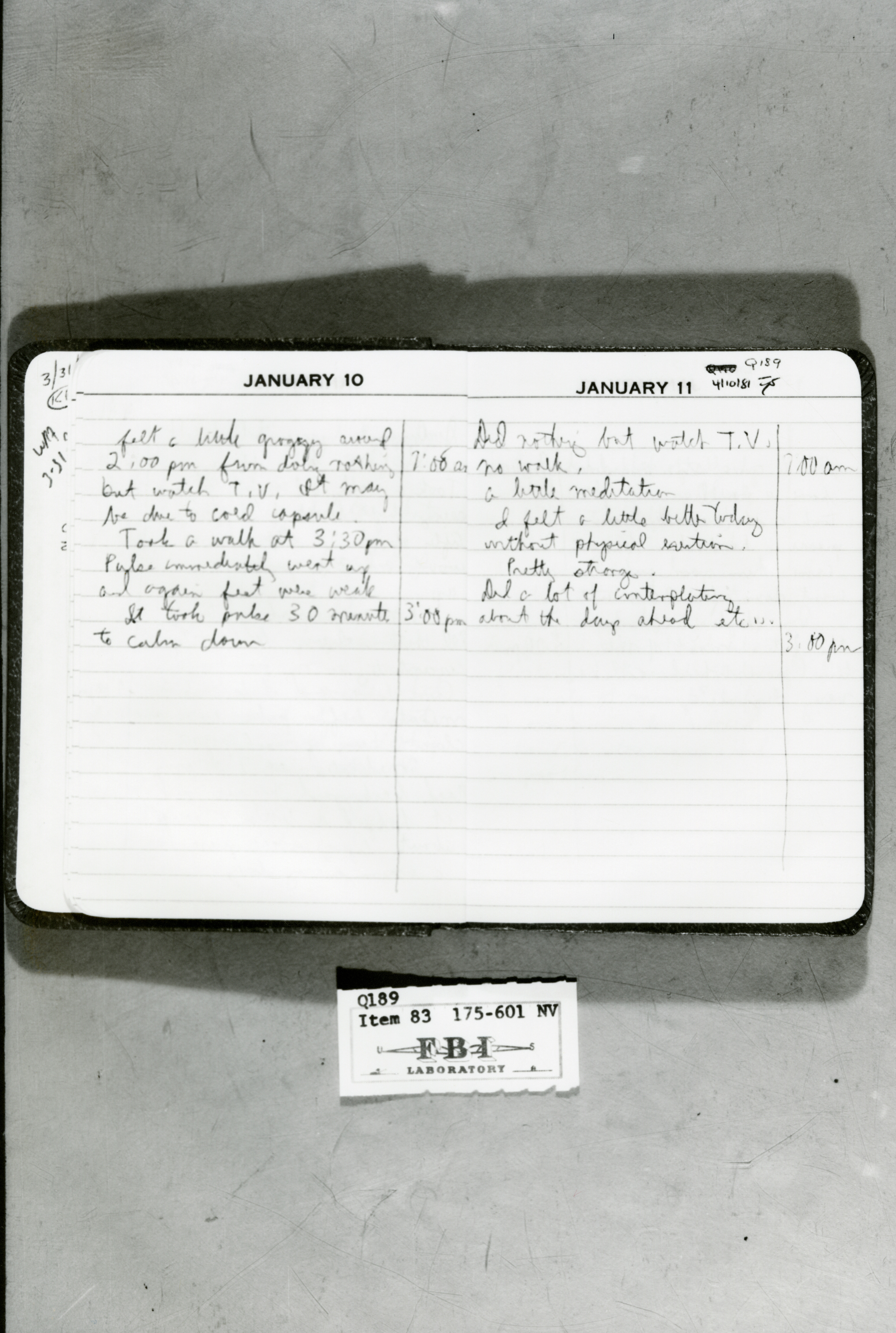 rr-jhj-475.jpg diary