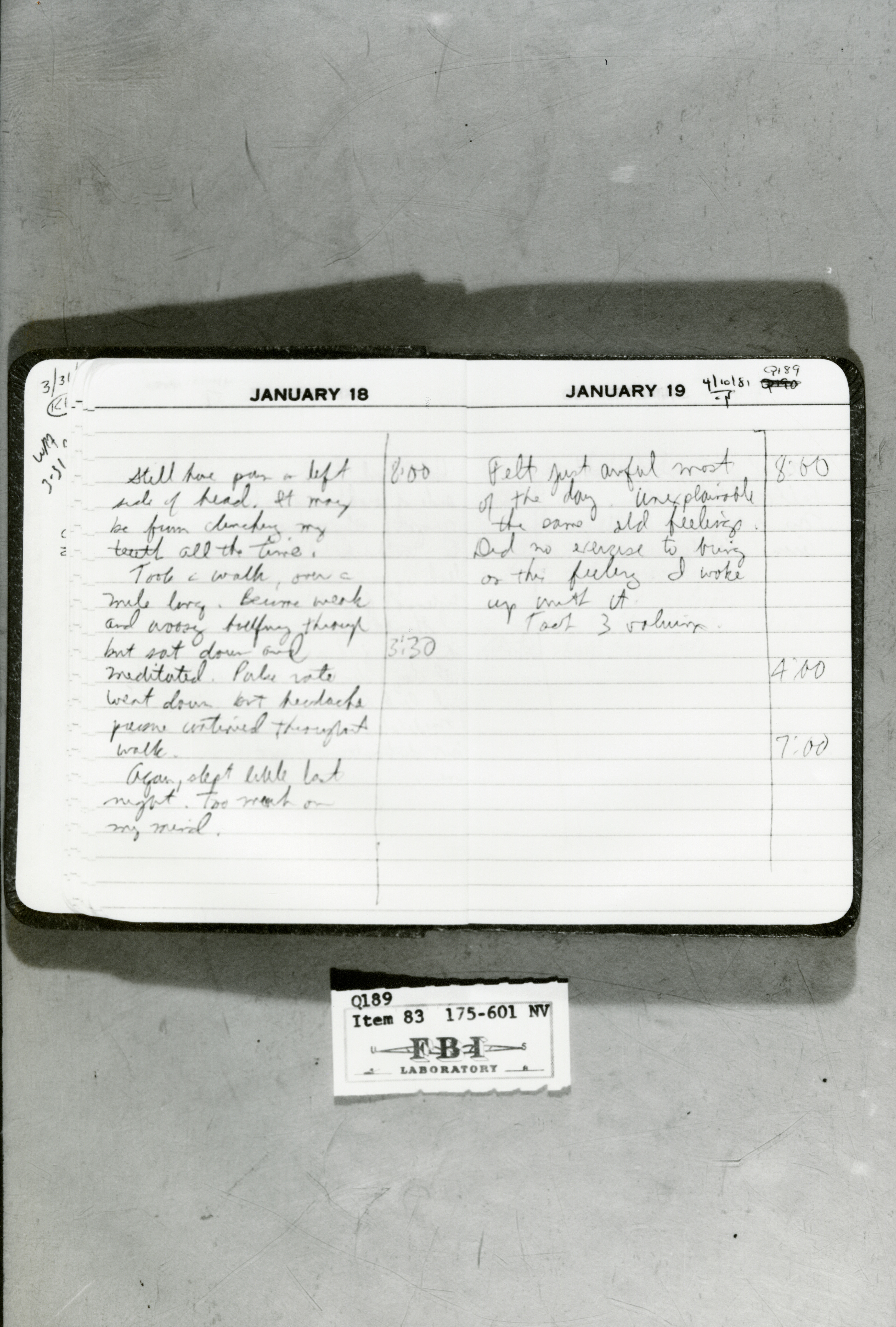 rr-jhj-477.jpg diary