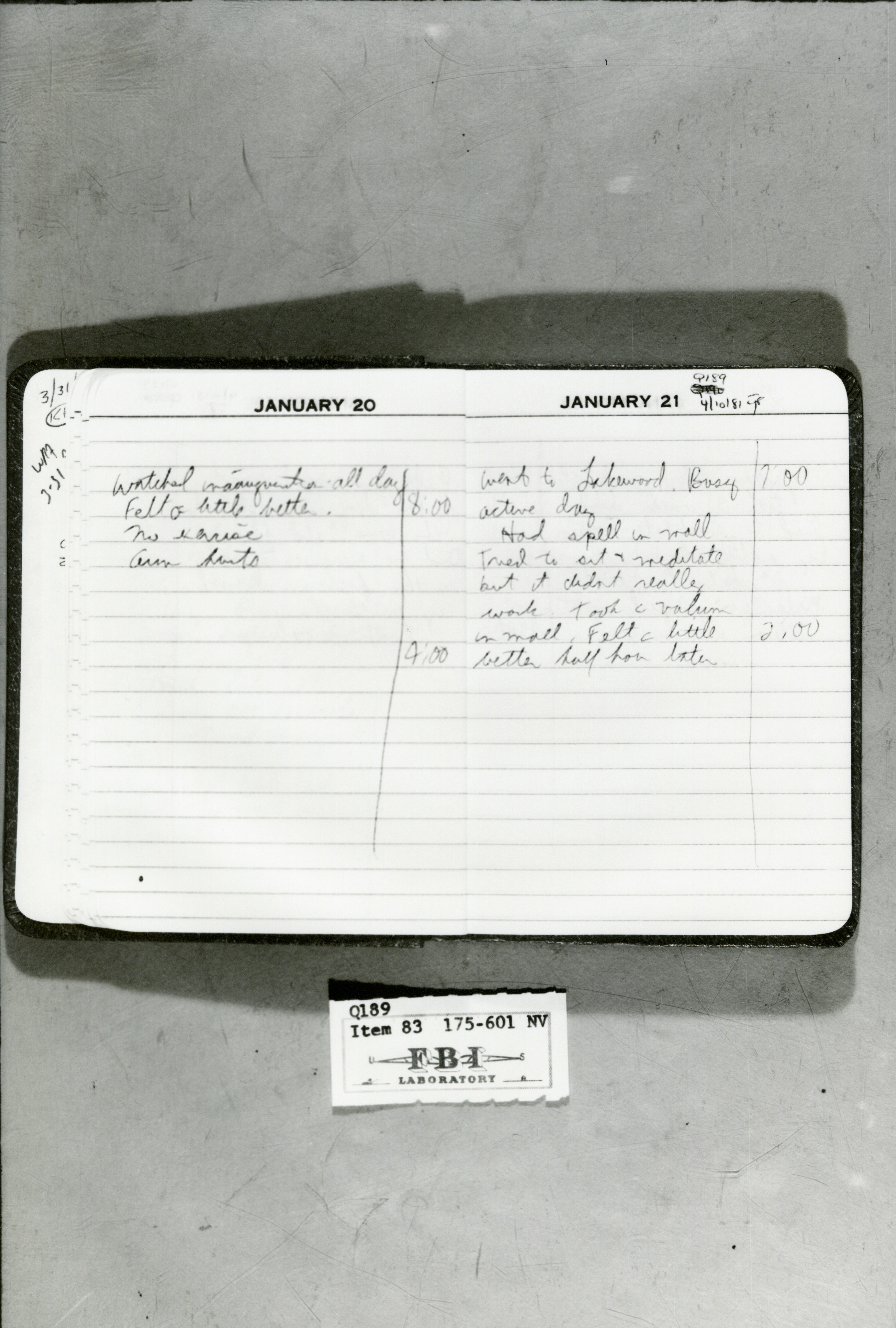 rr-jhj-478.jpg diary