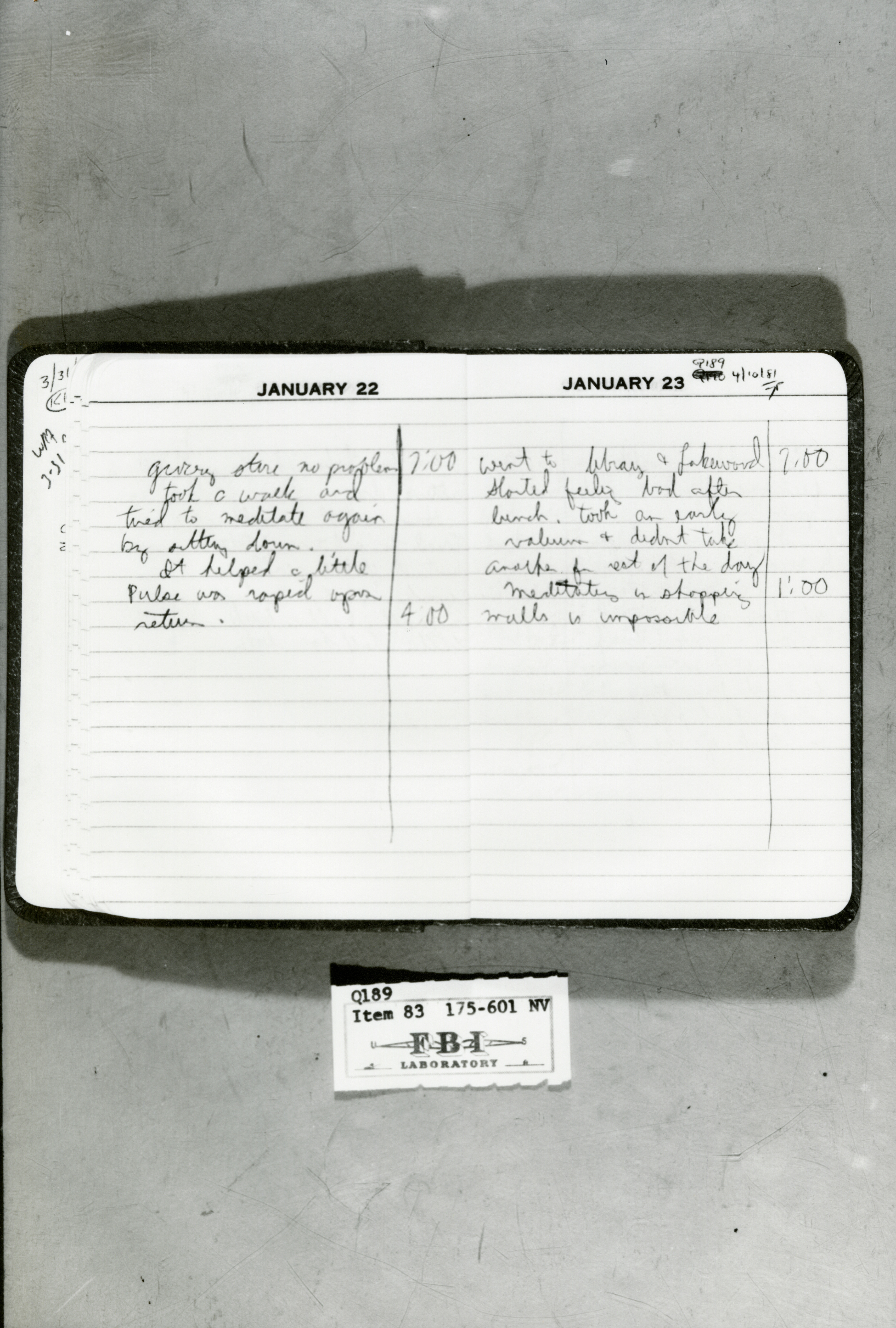 rr-jhj-479.jpg diary