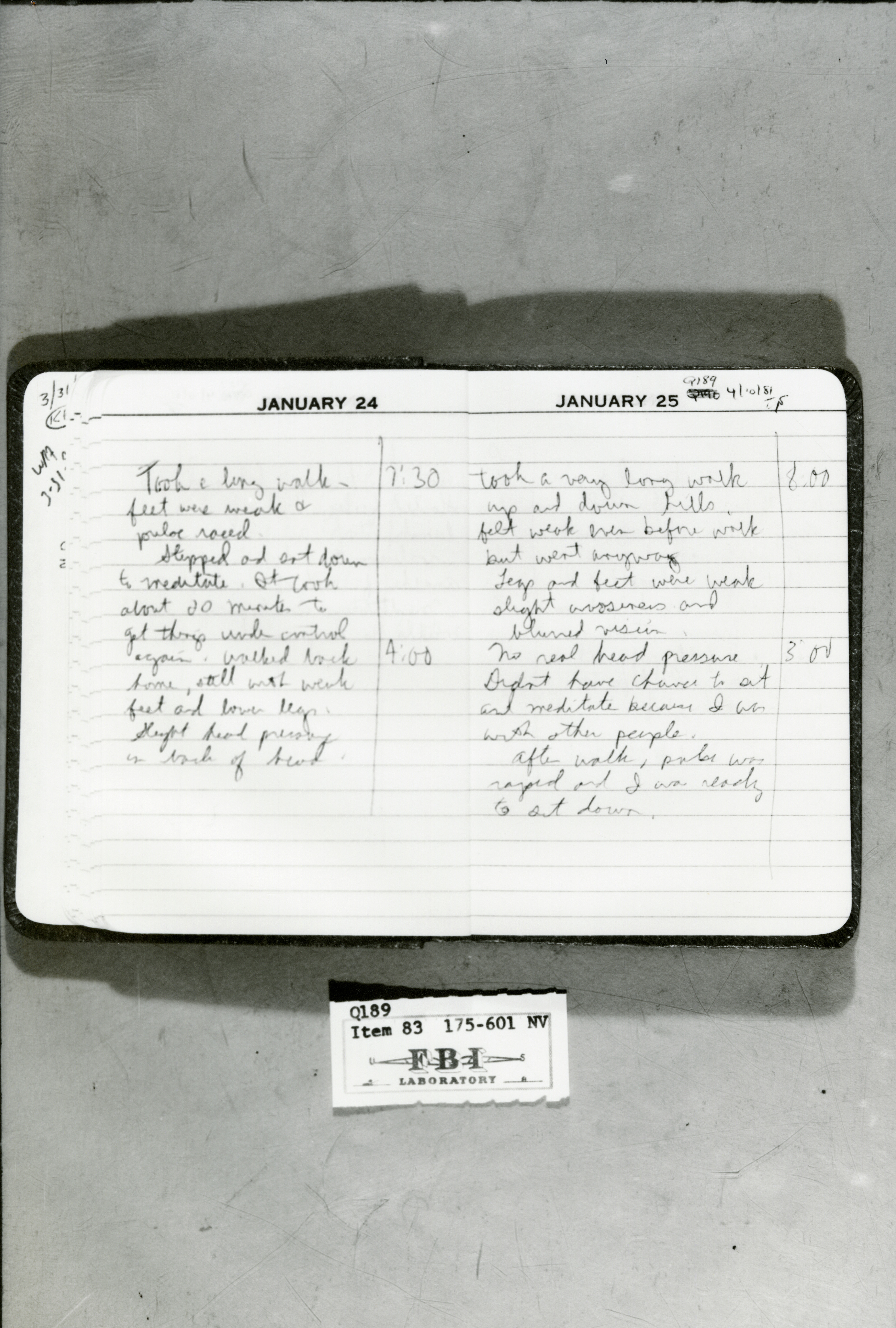 rr-jhj-480.jpg diary
