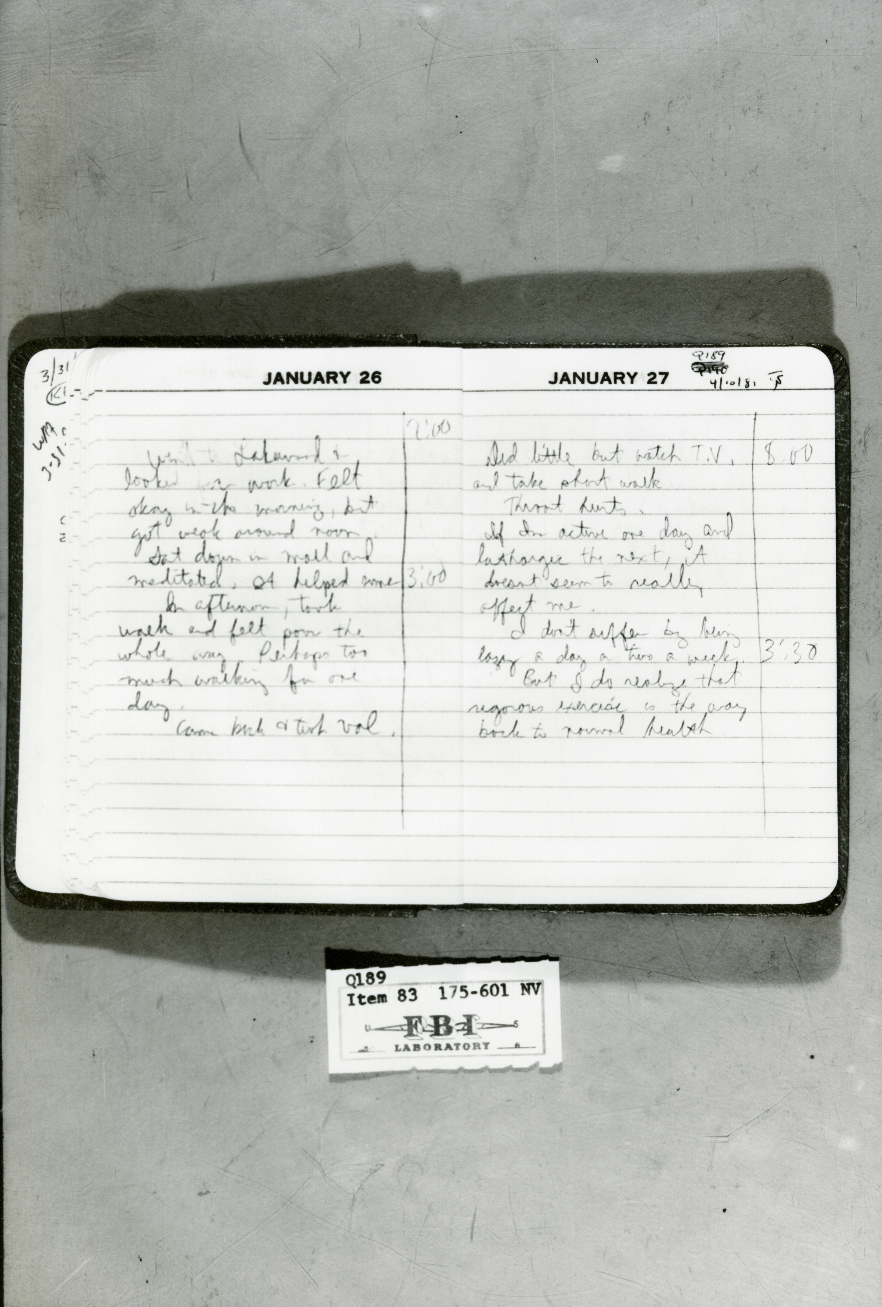 rr-jhj-481.jpg diary