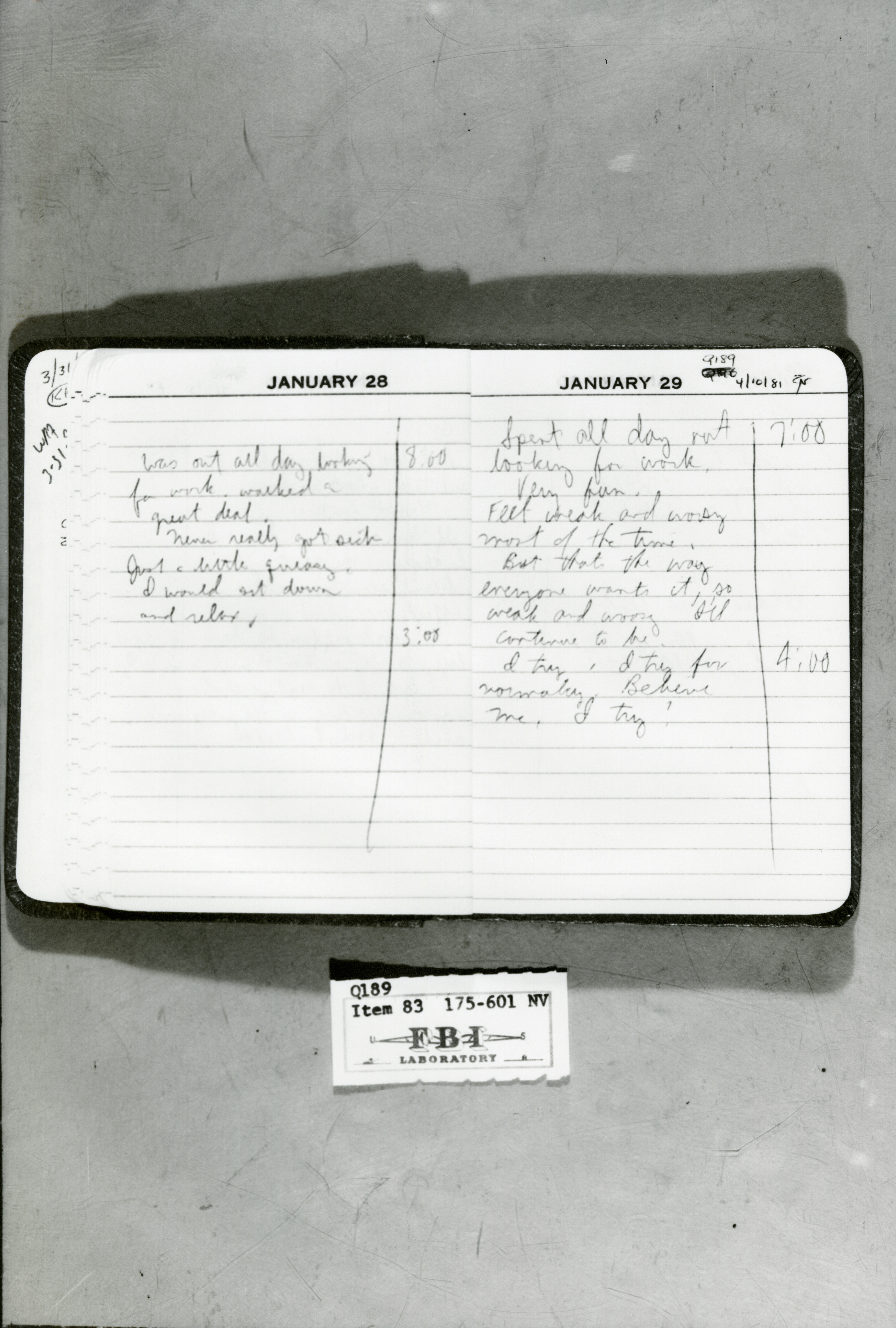 rr-jhj-482.jpg diary