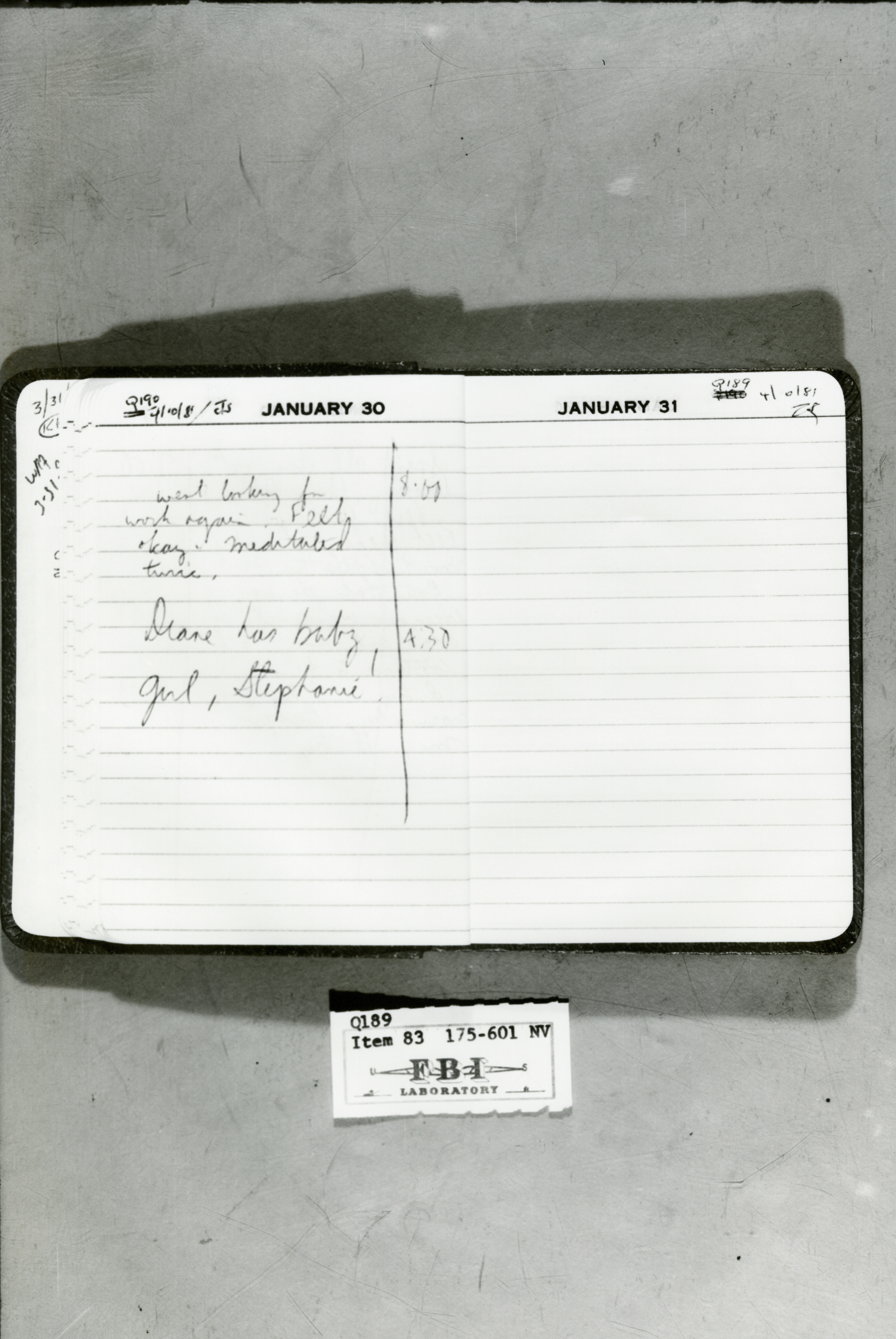 rr-jhj-483.jpg diary