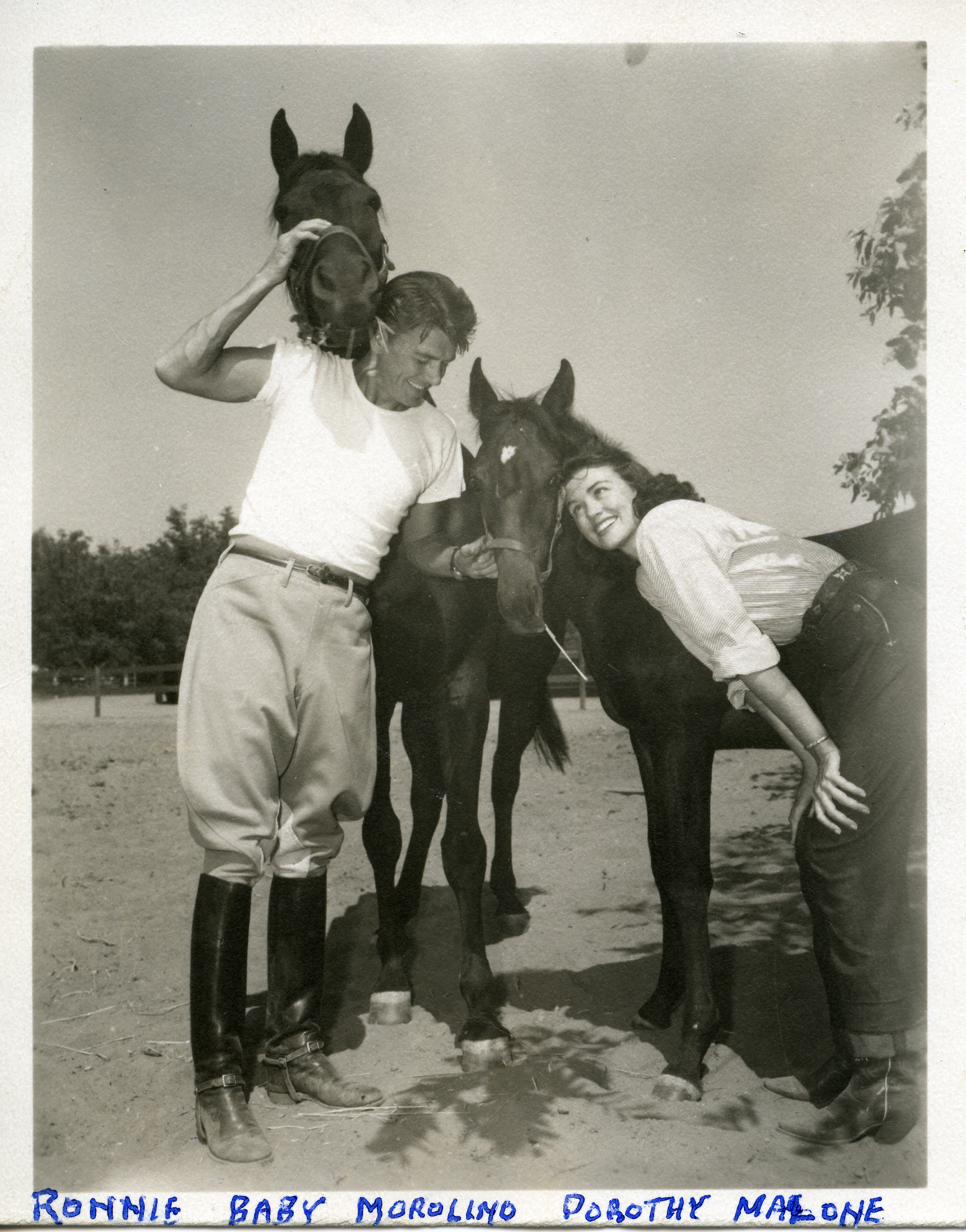 Ronald Reagan with Dorothy Malone, horses “Baby” and “Morolino”