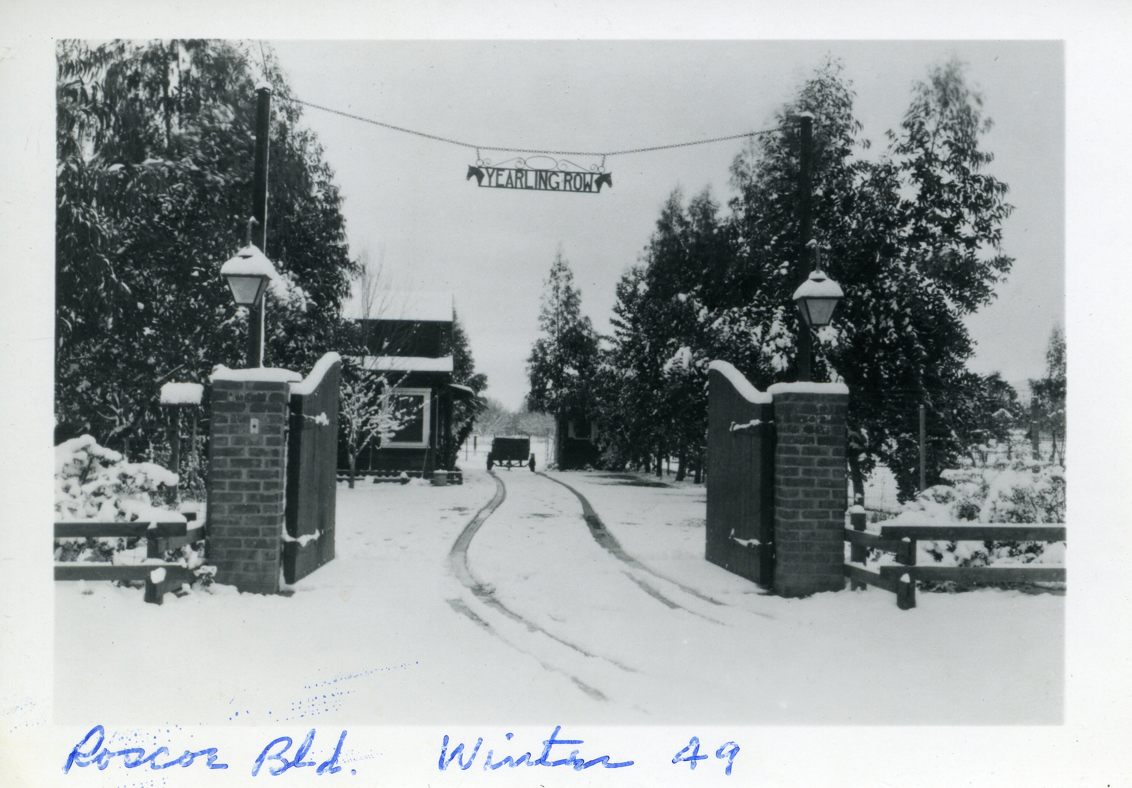 Roscoe Blvd. “Yearling Row” Ranch sign in the snow