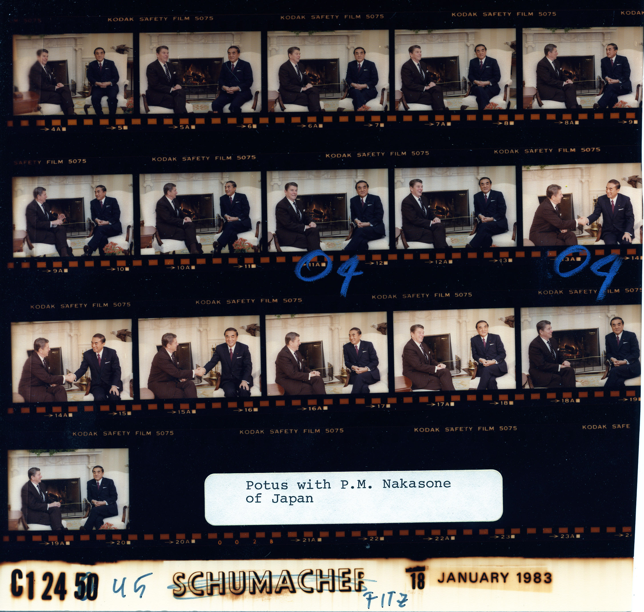 C12445 (01)