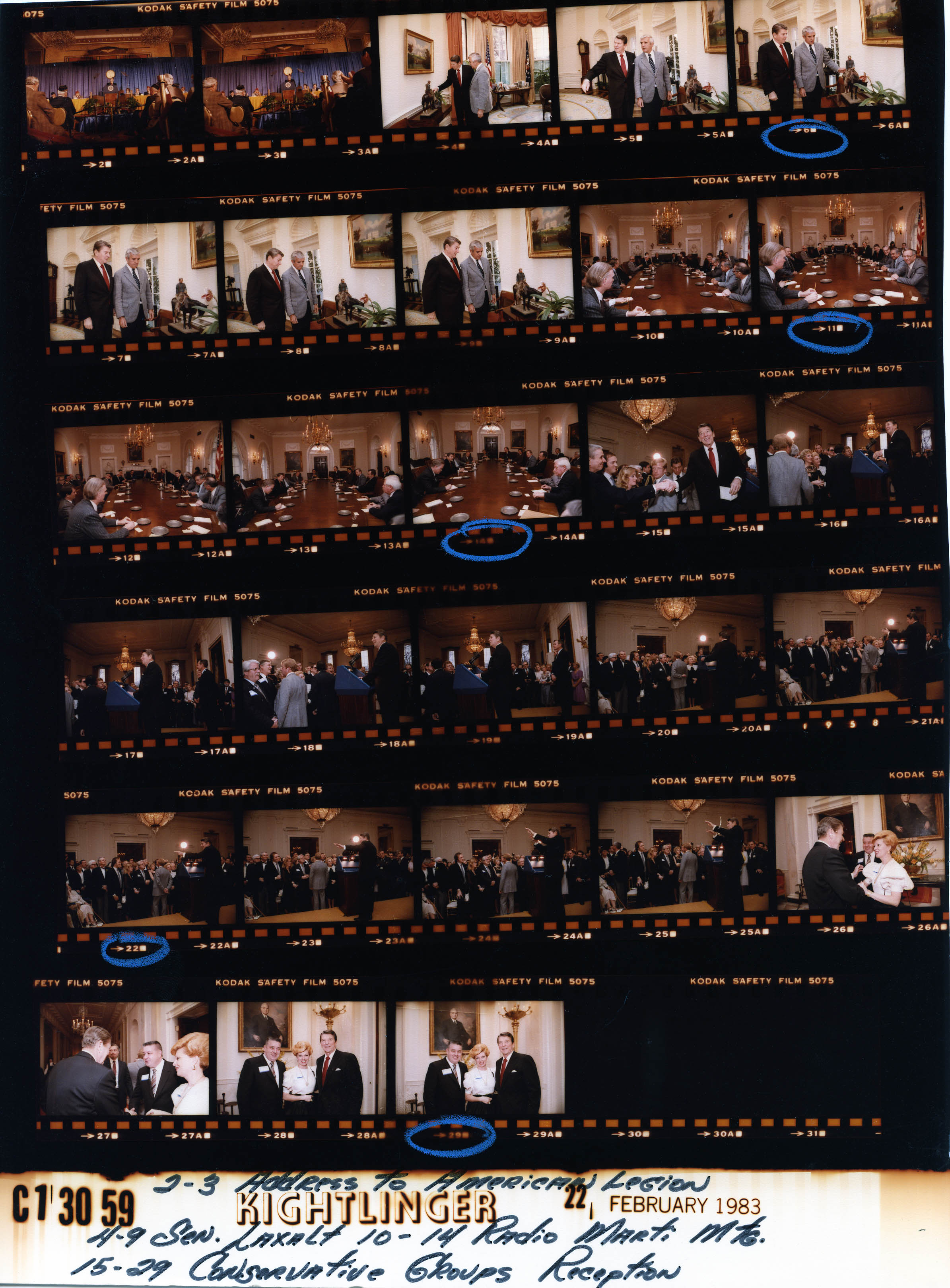 C13059 (01)