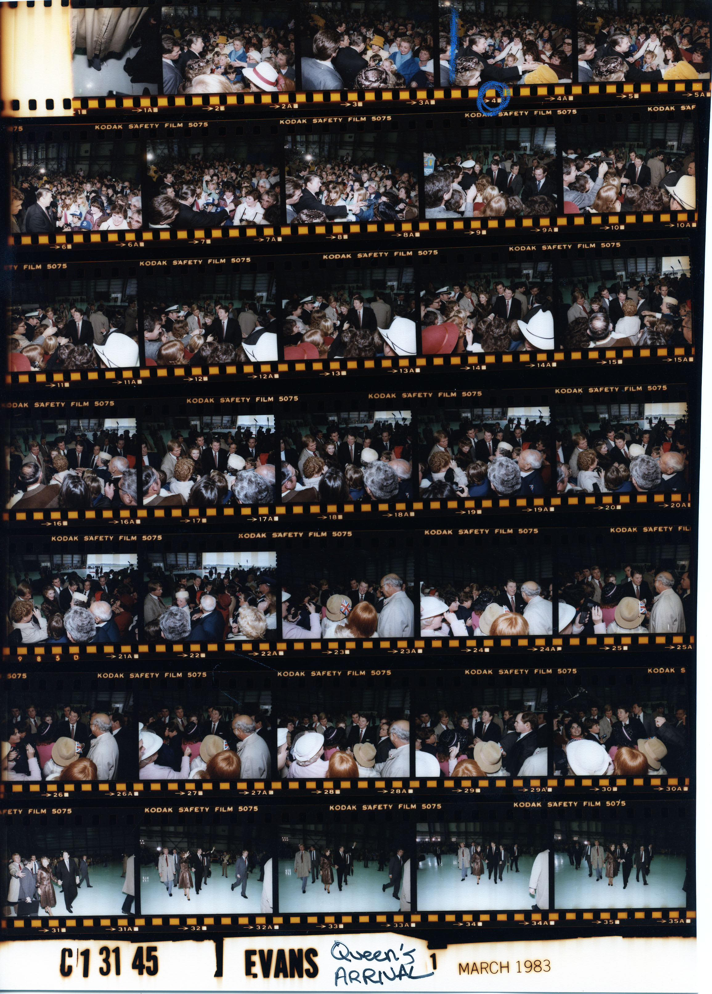 C13145 (01)
