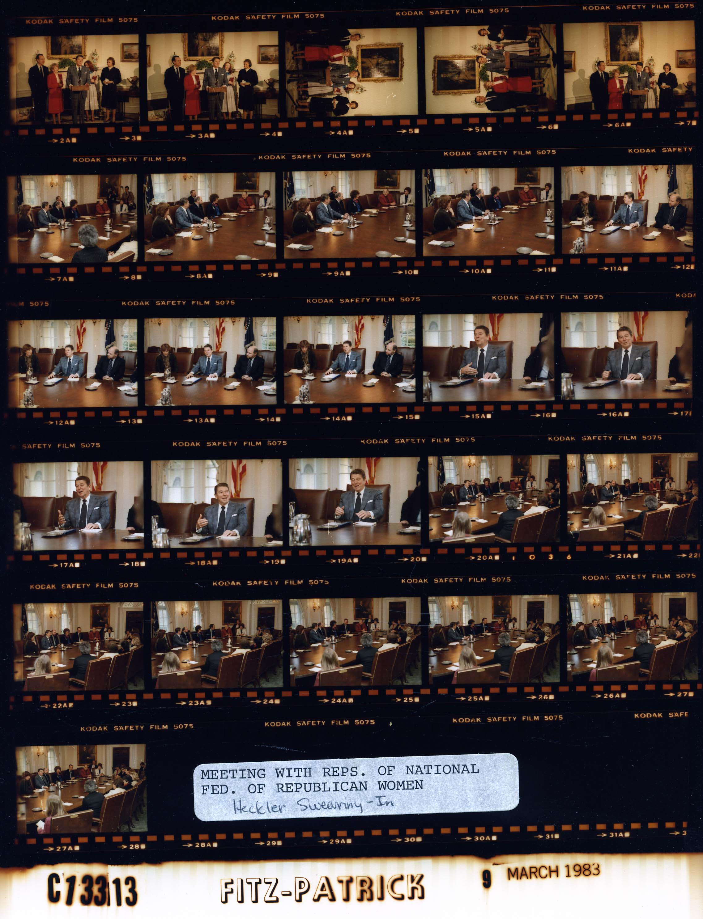 C13313 (01)