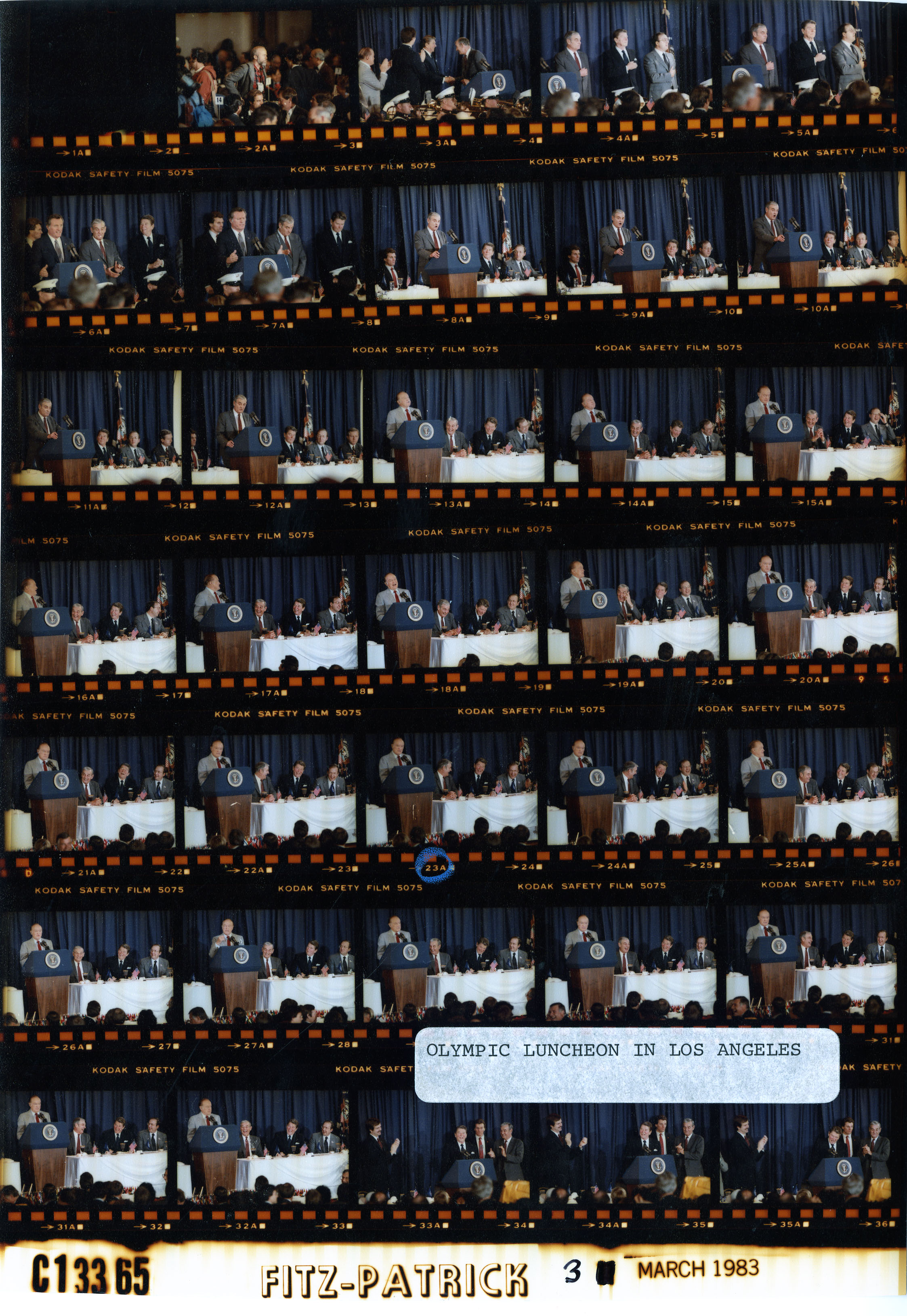 C13365 (01)