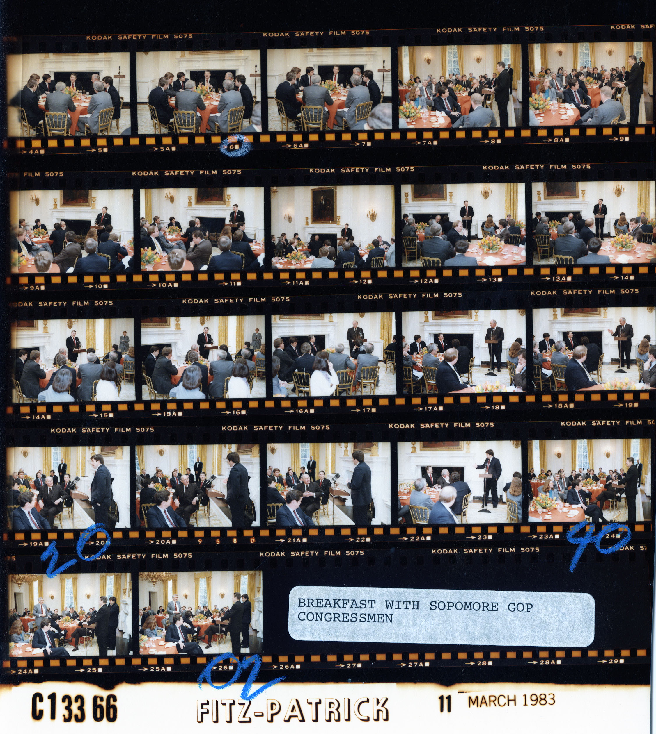 C13366 (01)