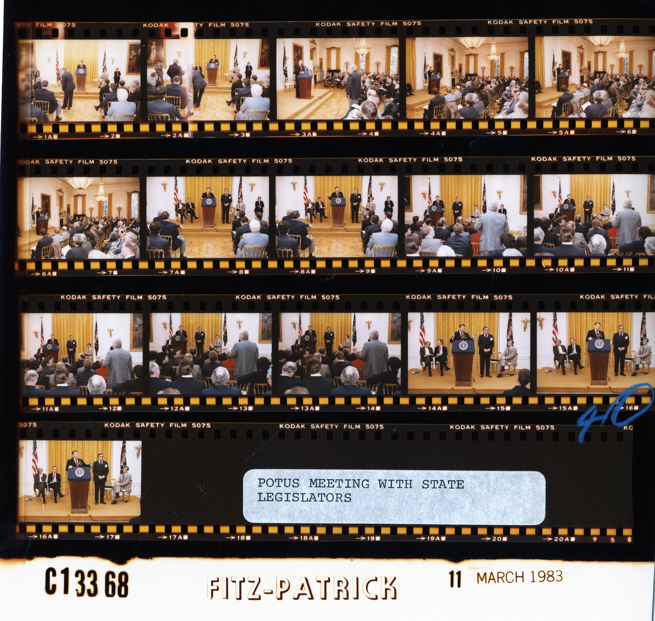 C13368 (01)