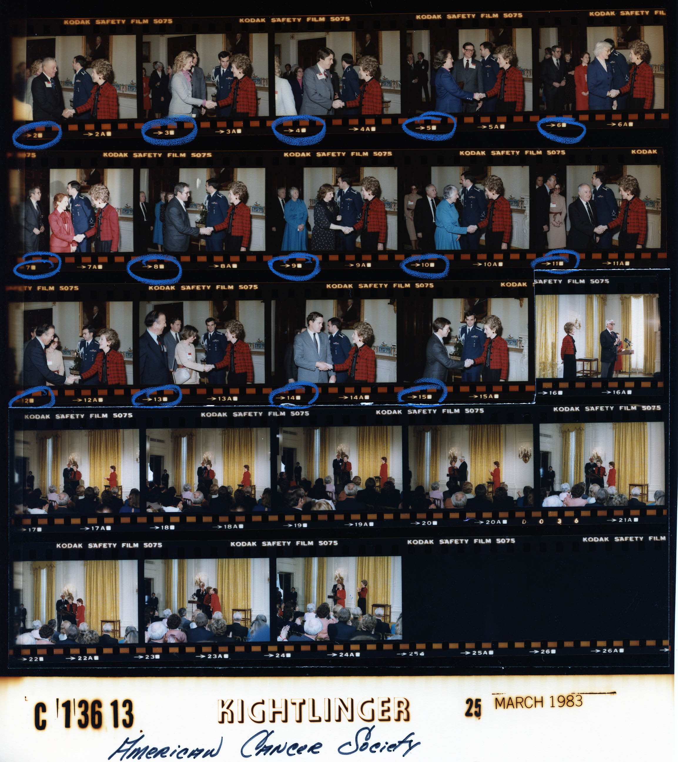 C13613 (01)