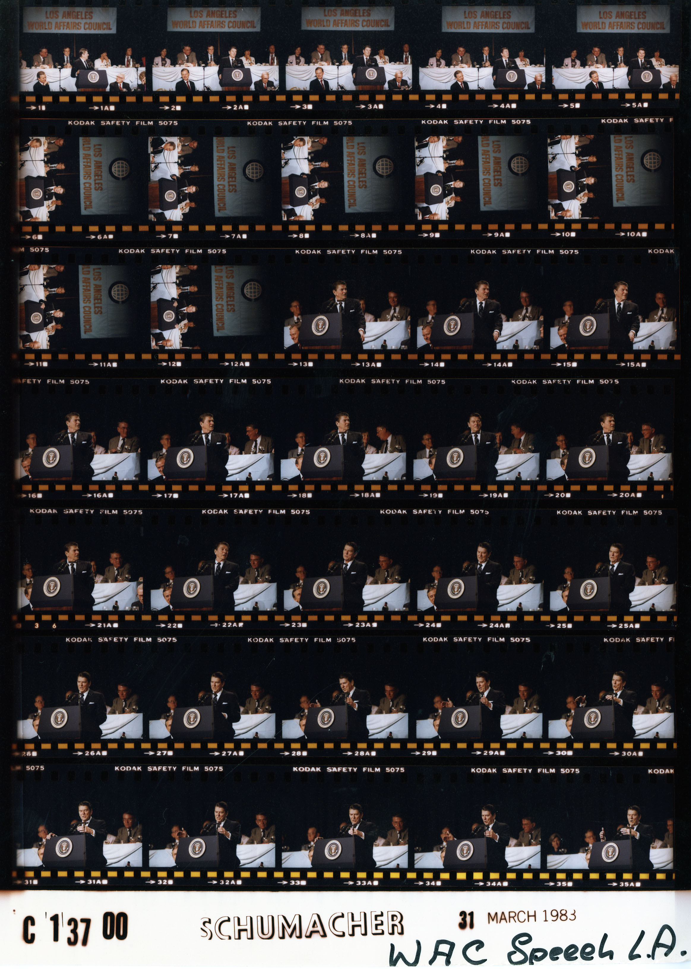 C13700 (01)