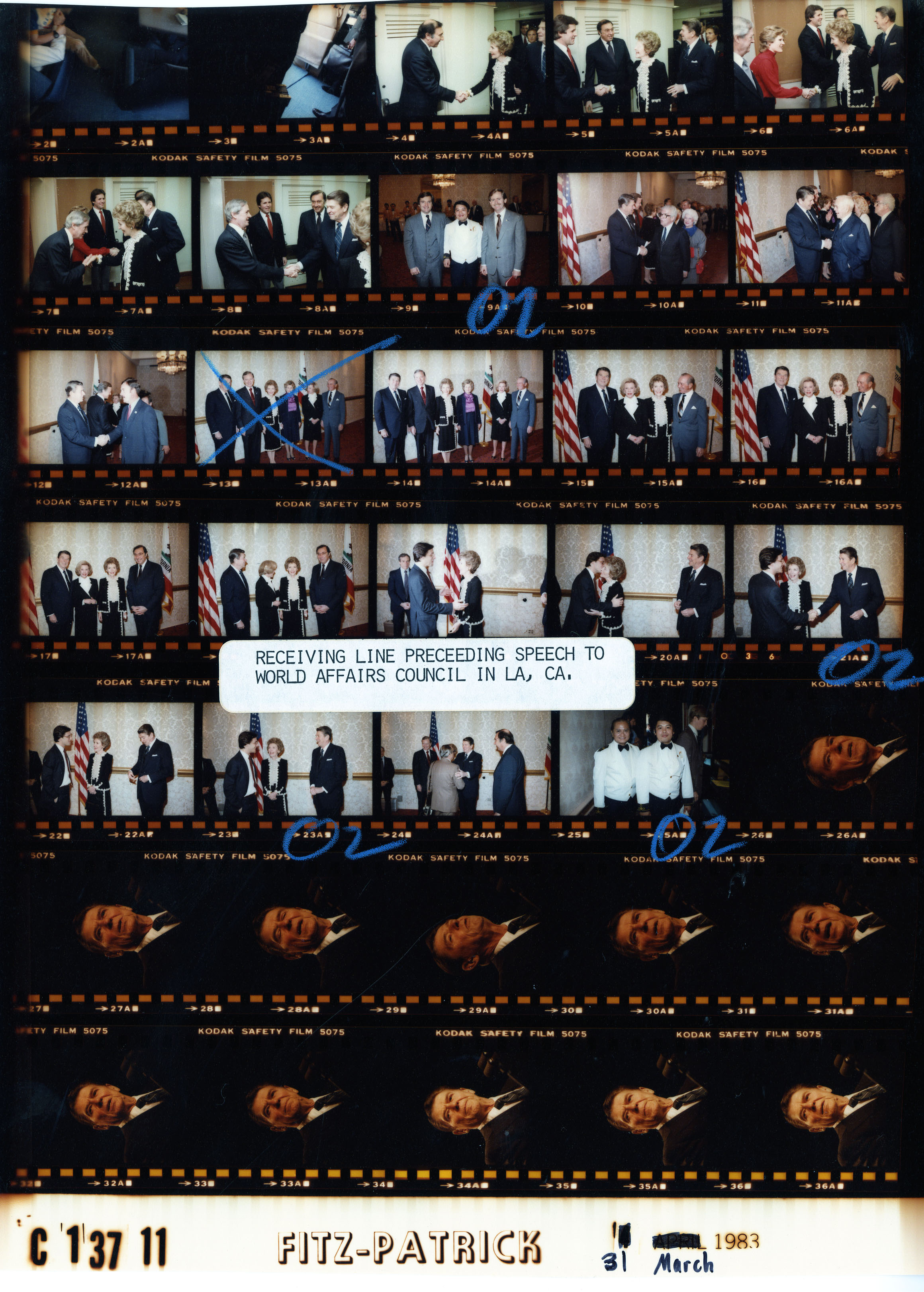 C13711 (01)