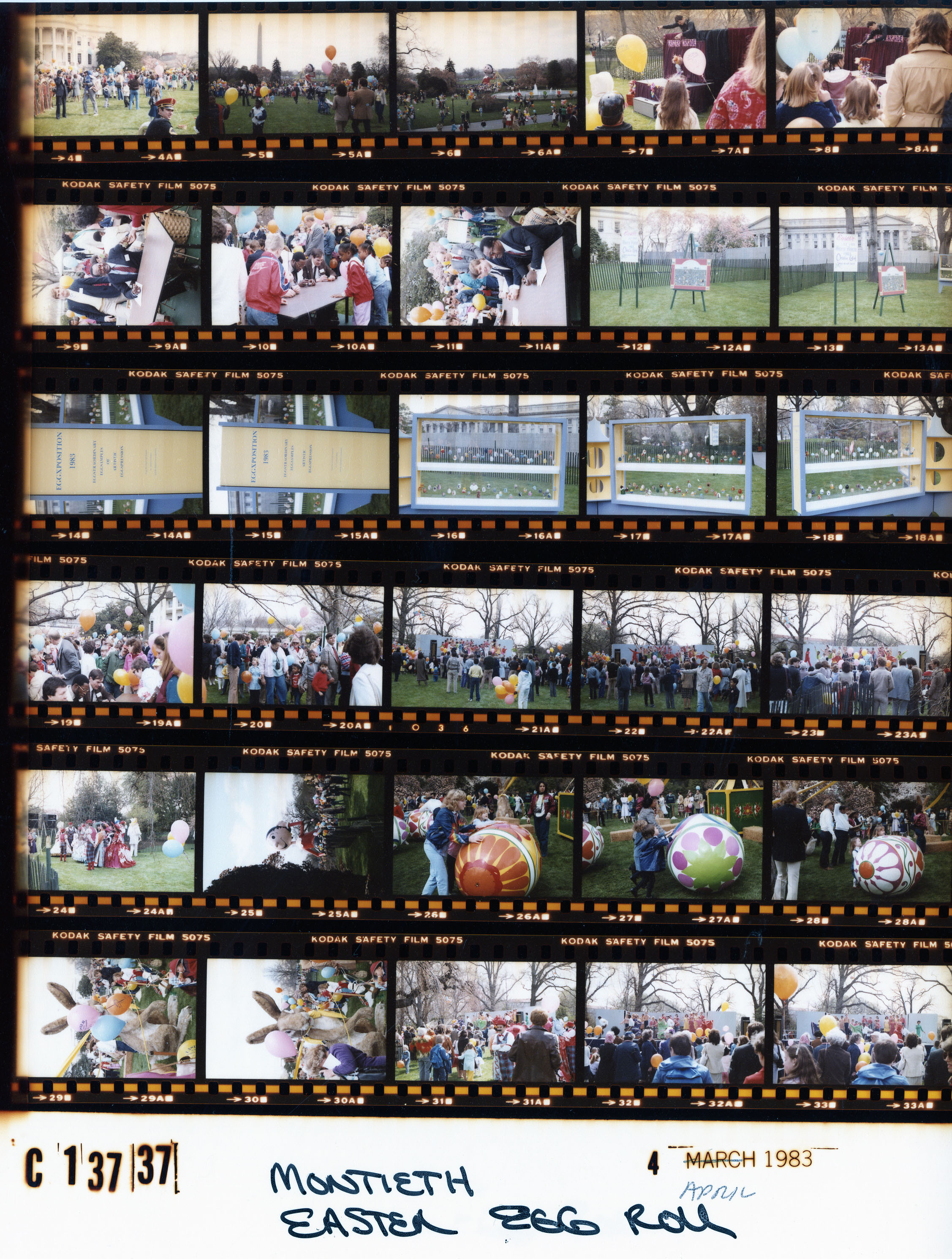 C13737 (01)