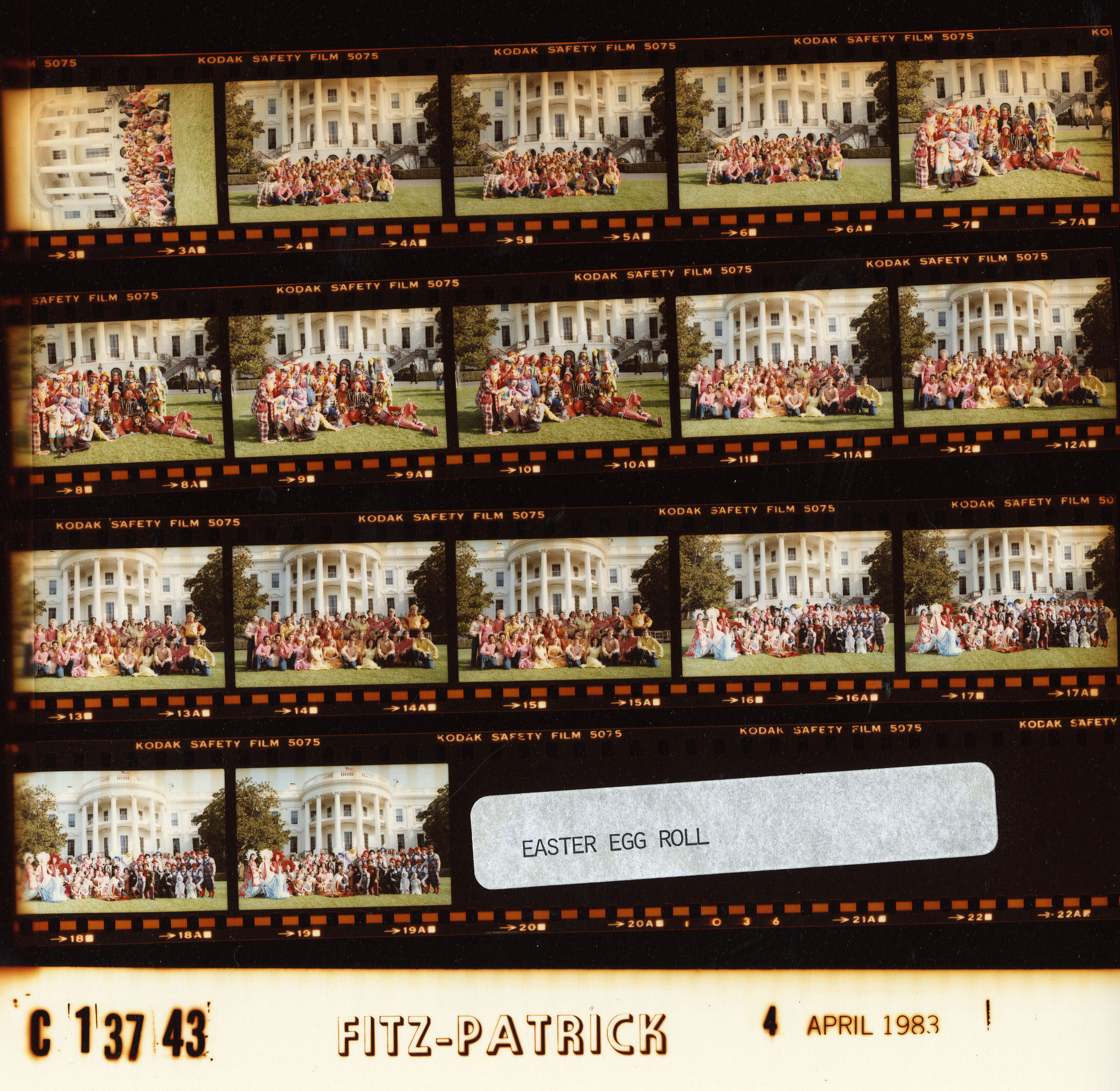 C13743 (01)
