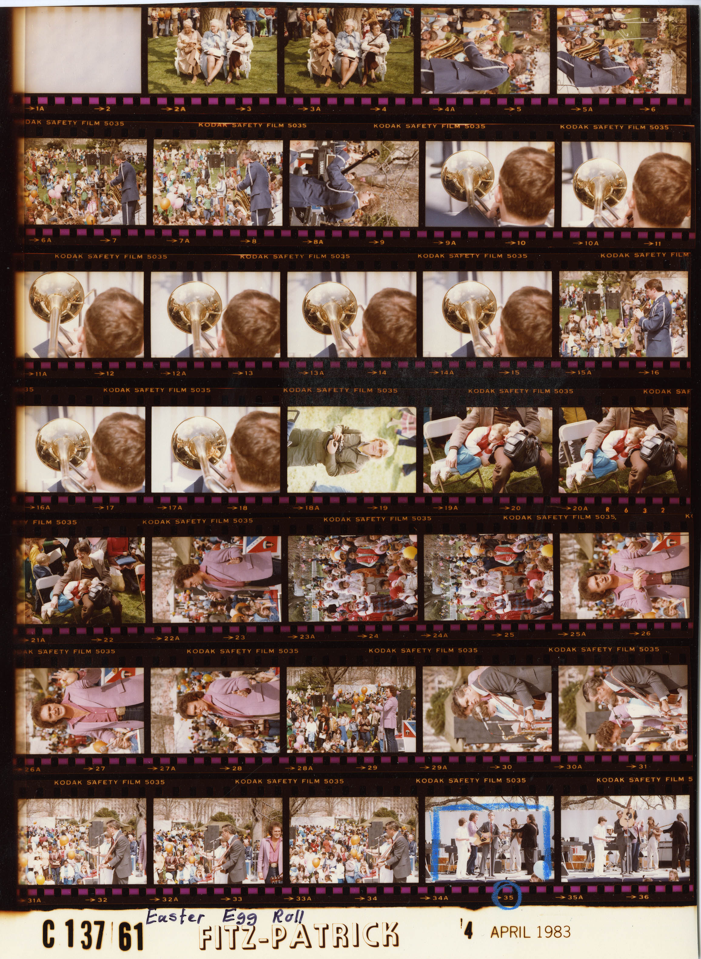 C13761 (01)