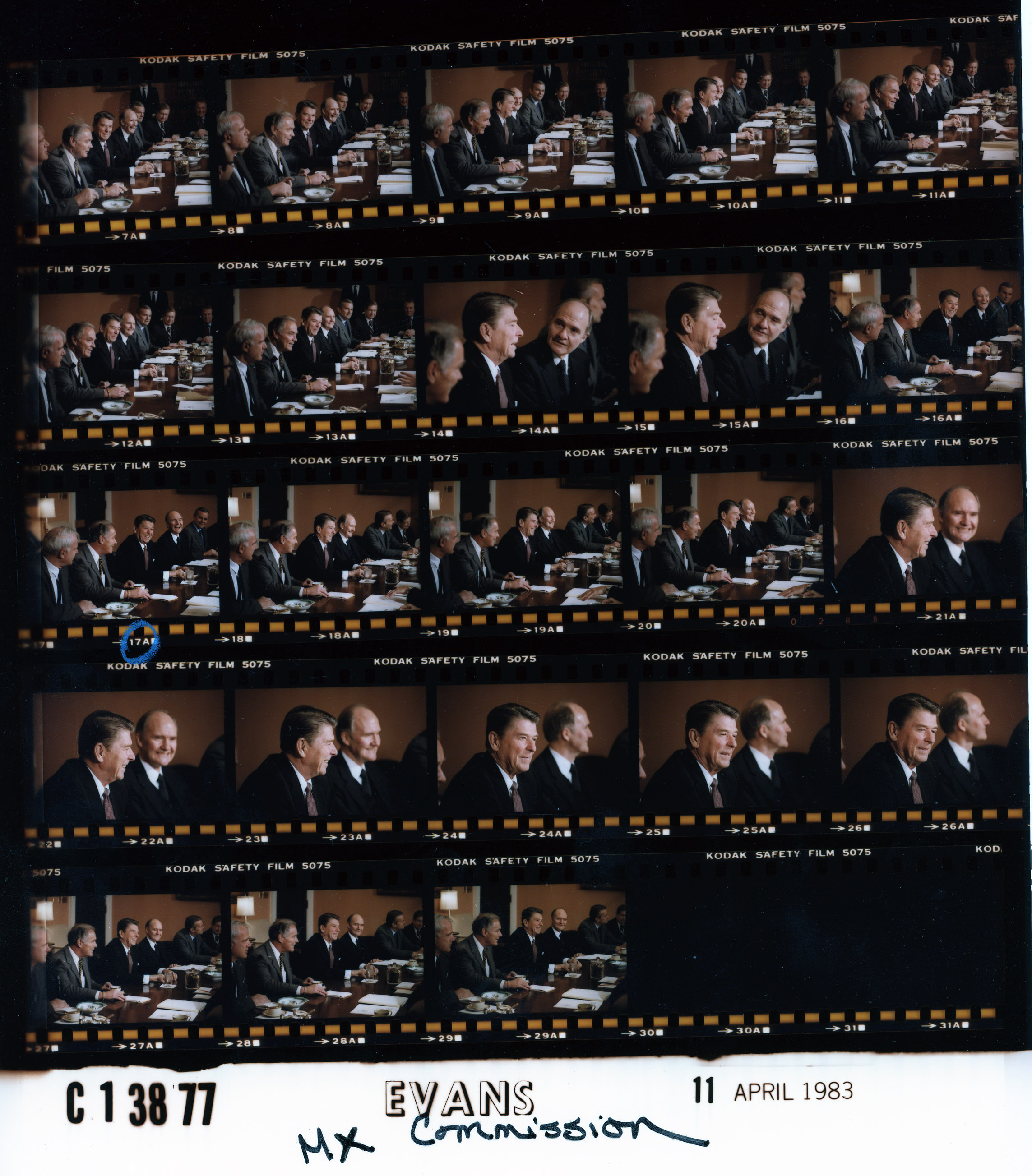 C13877 (01)