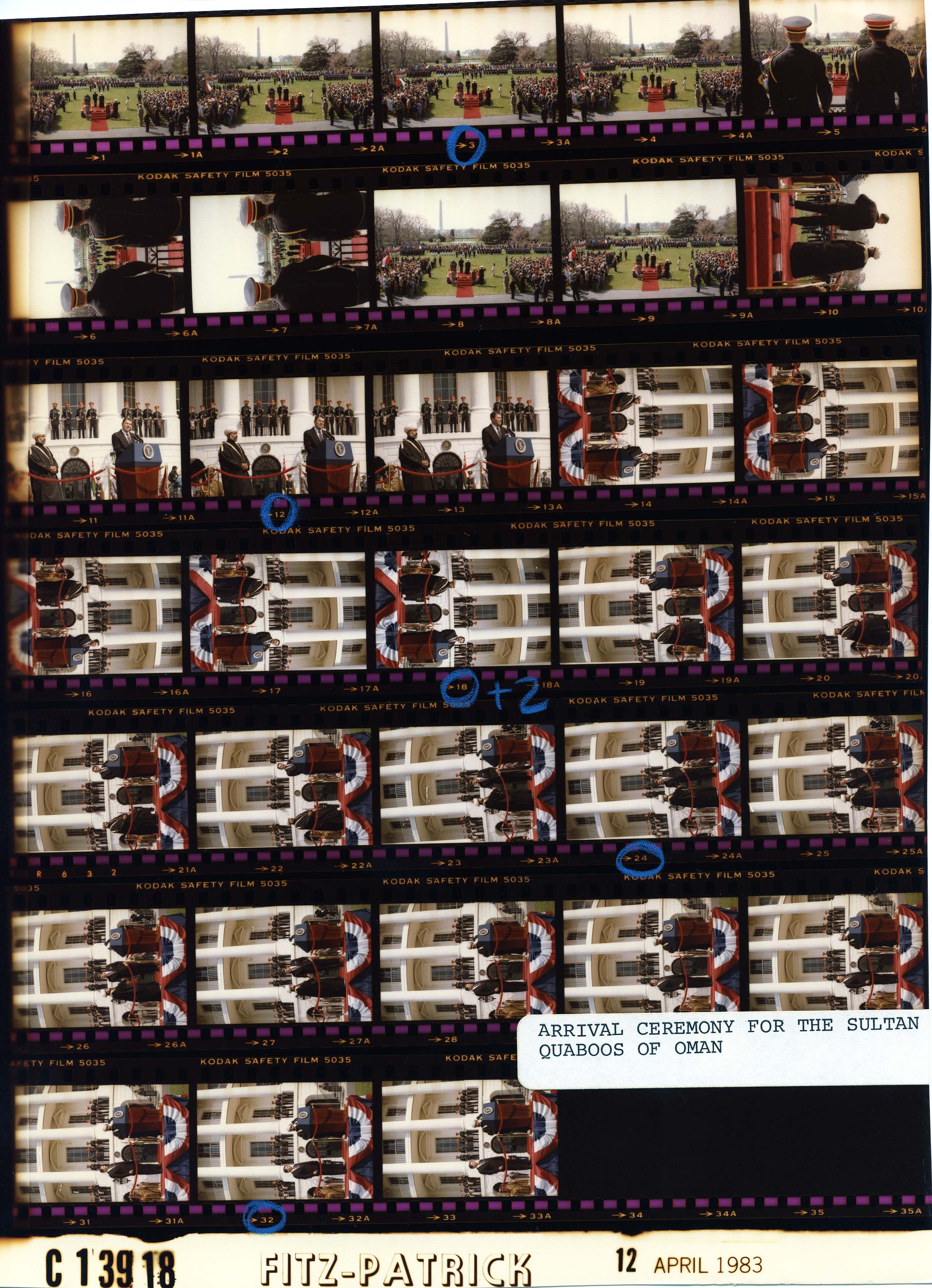 C13918 (01)