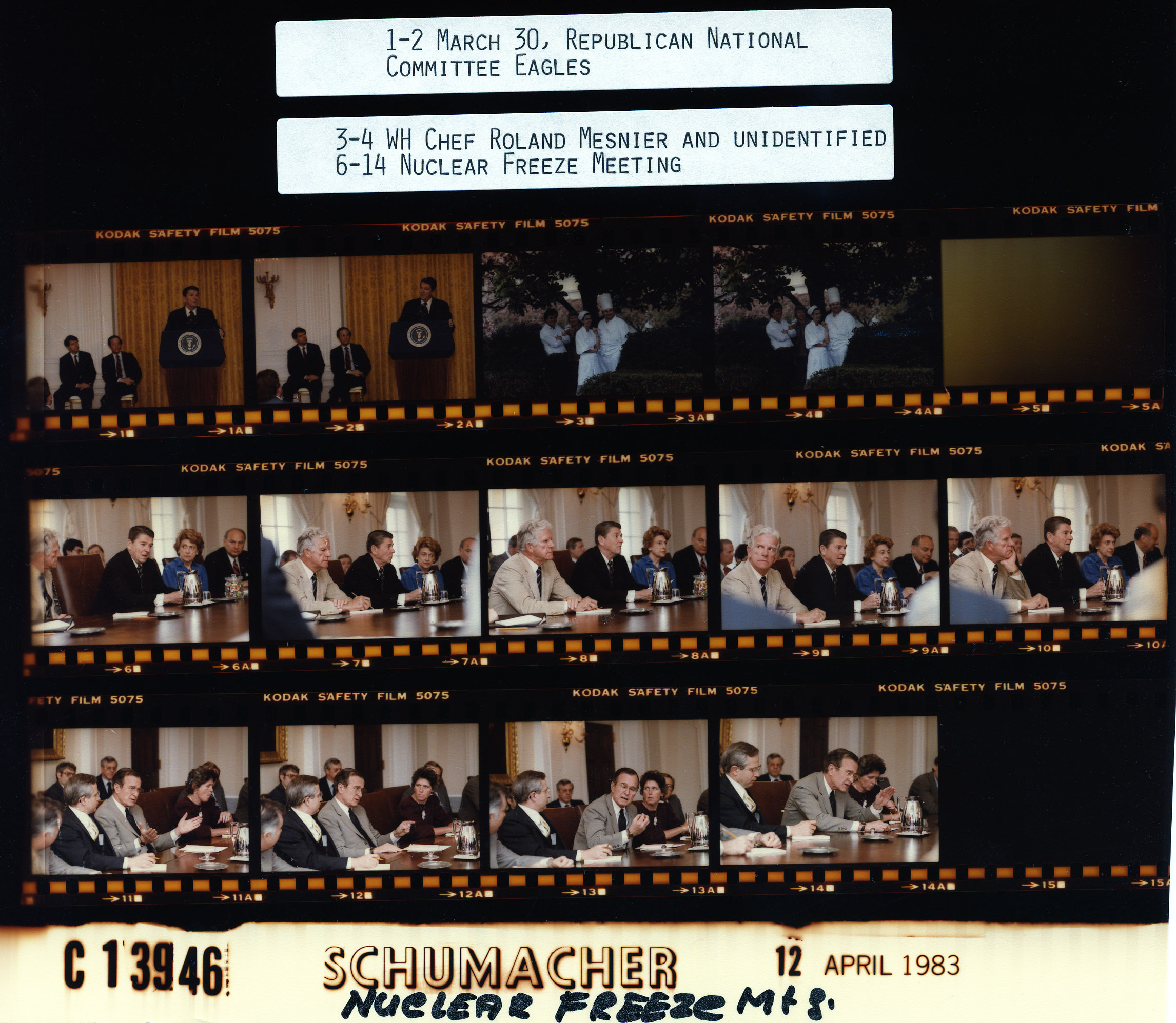 C13946 (01)