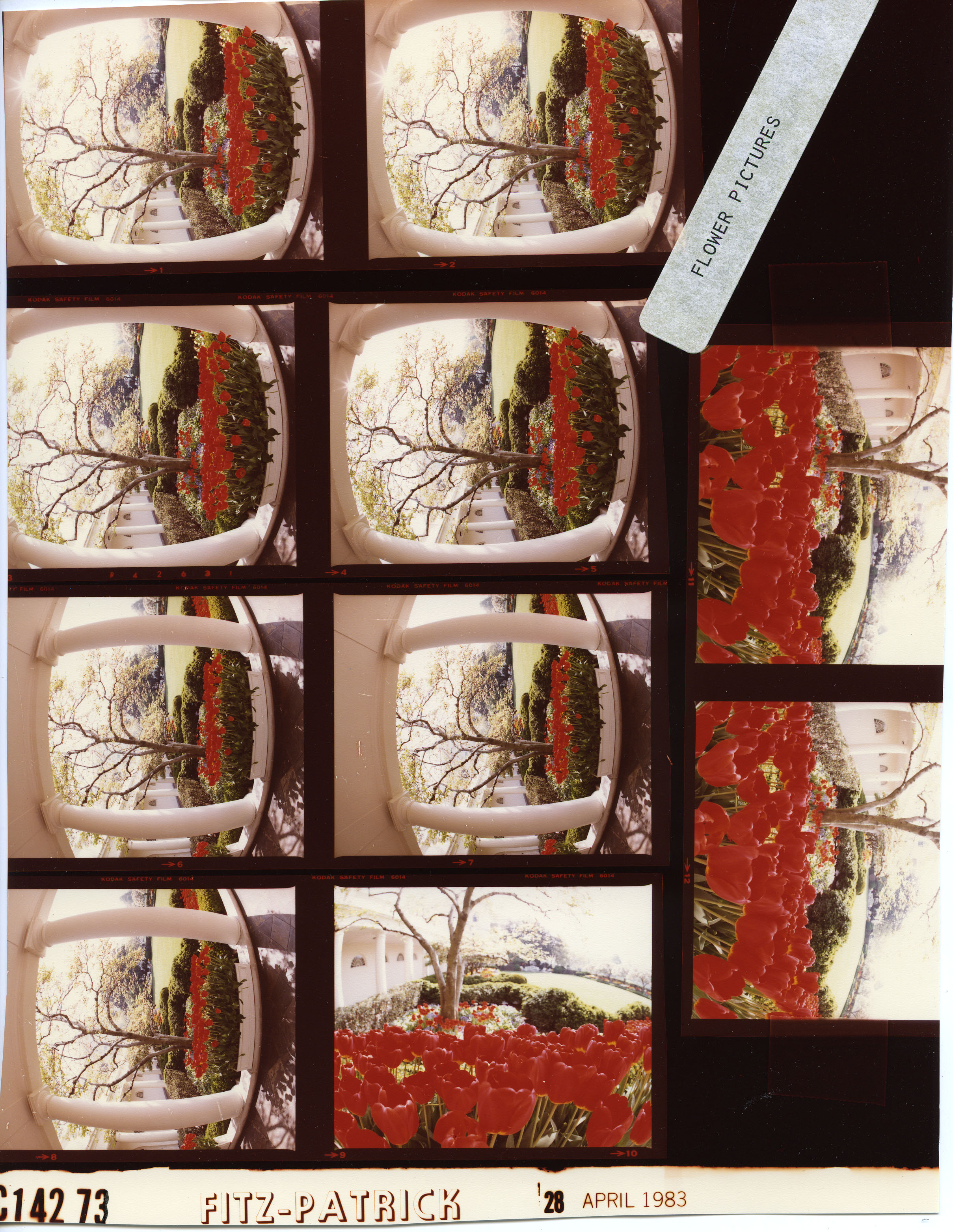 C14273 (01)