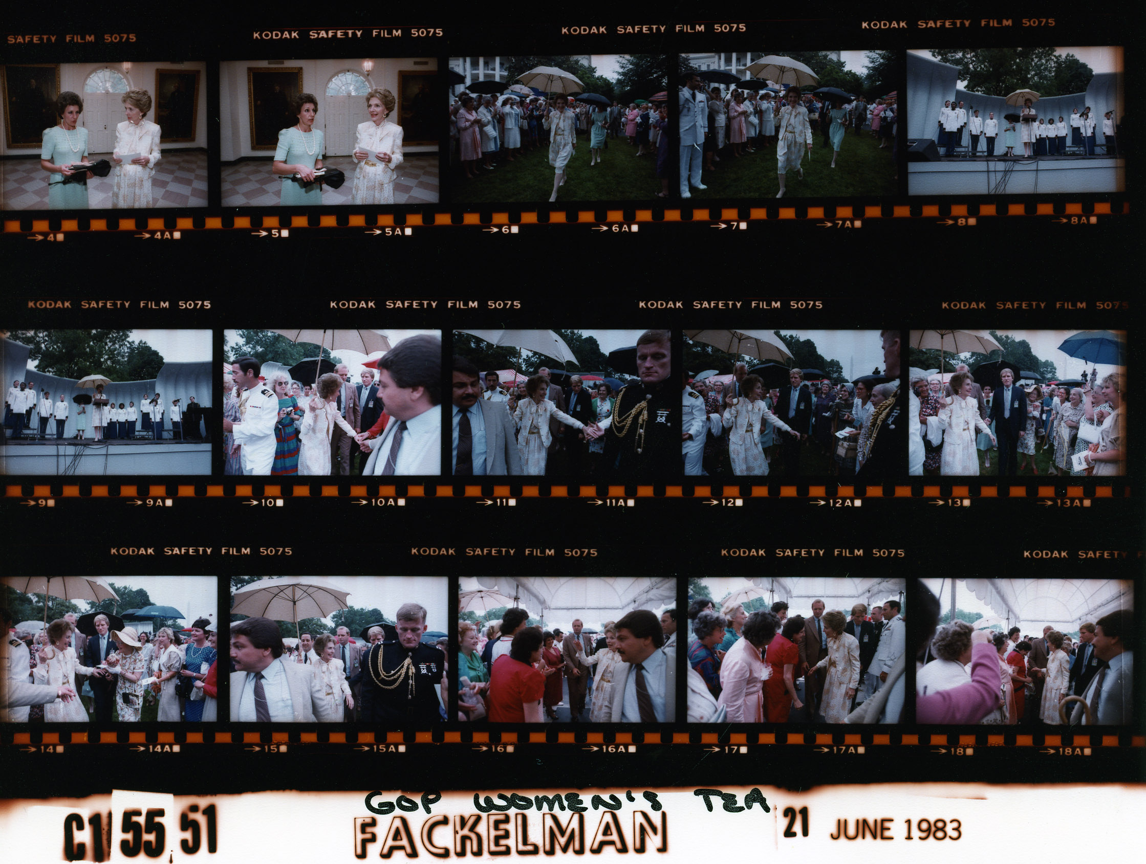 C15551 (01)