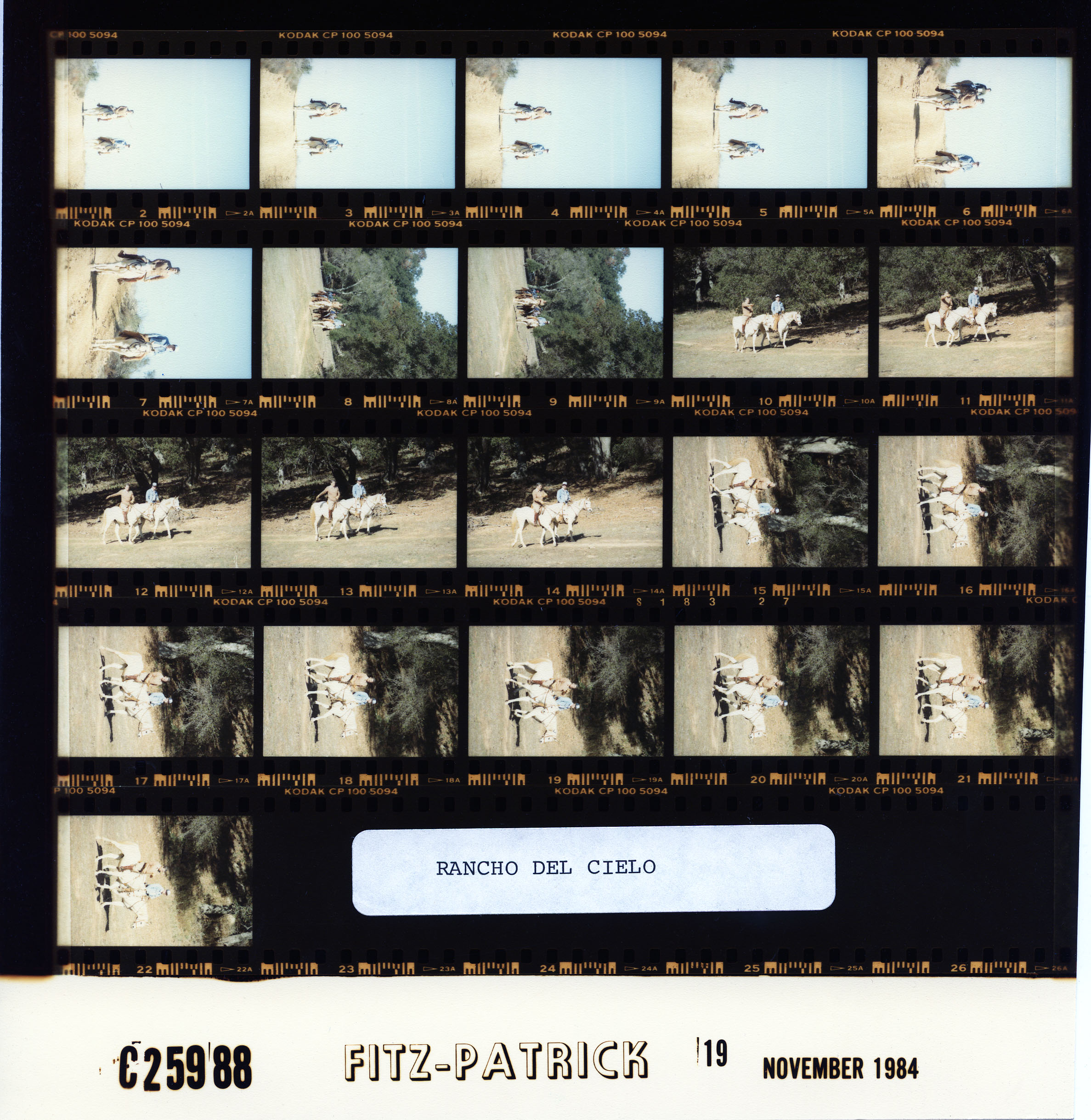 C25988 (01)