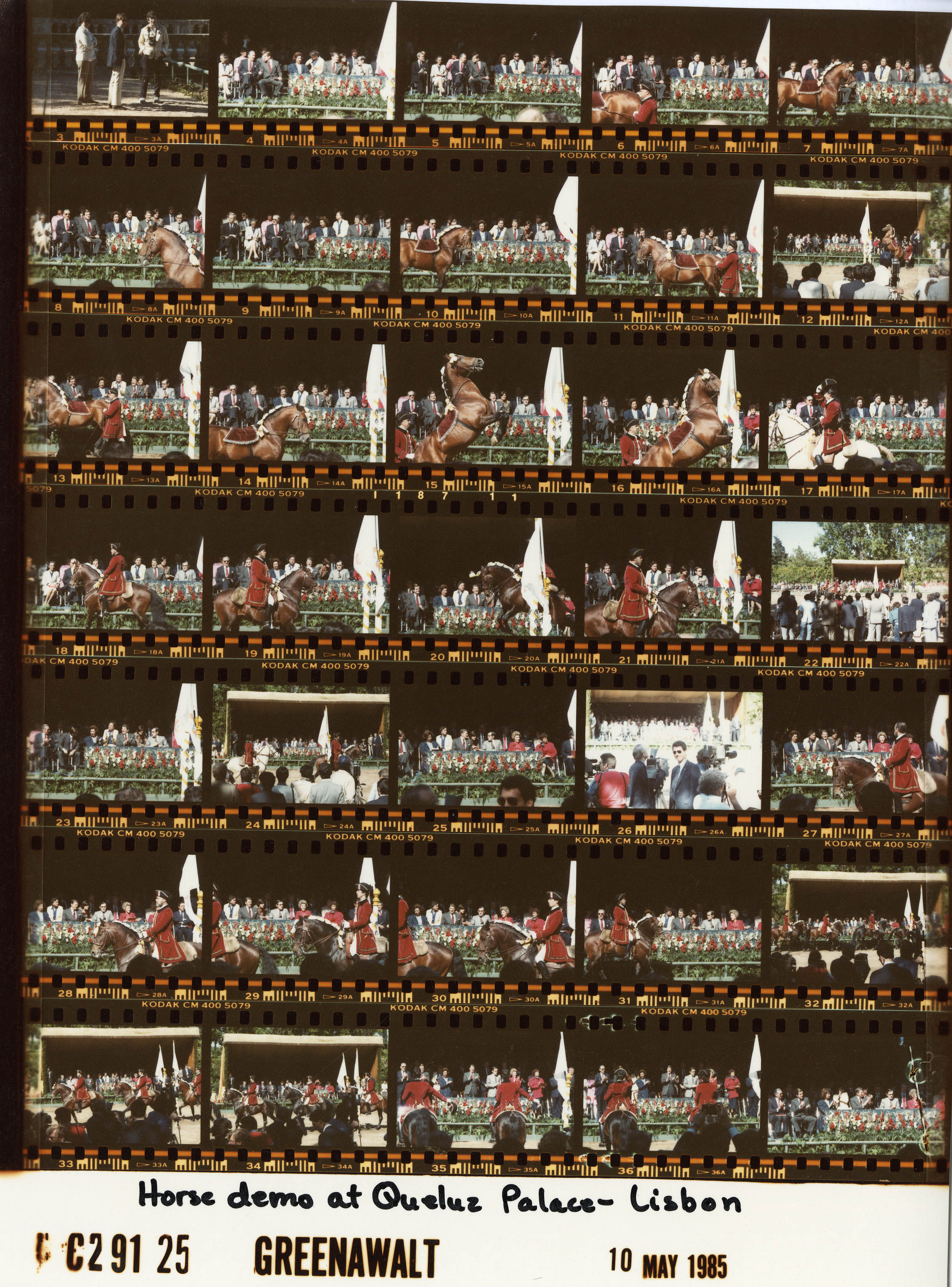 C29125 (01)