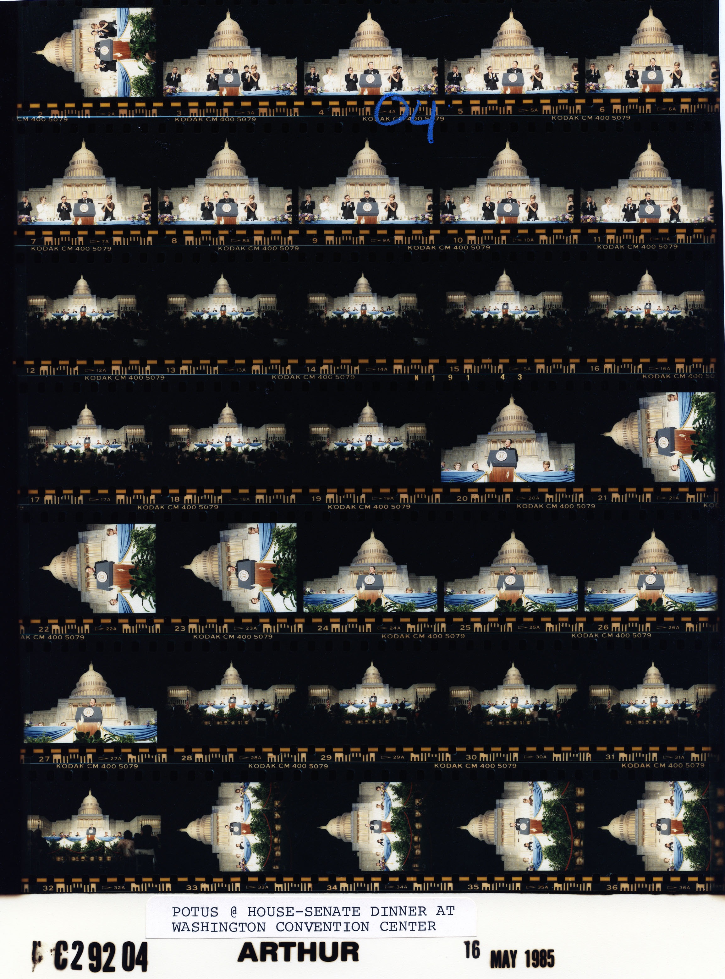 C29204 (01)