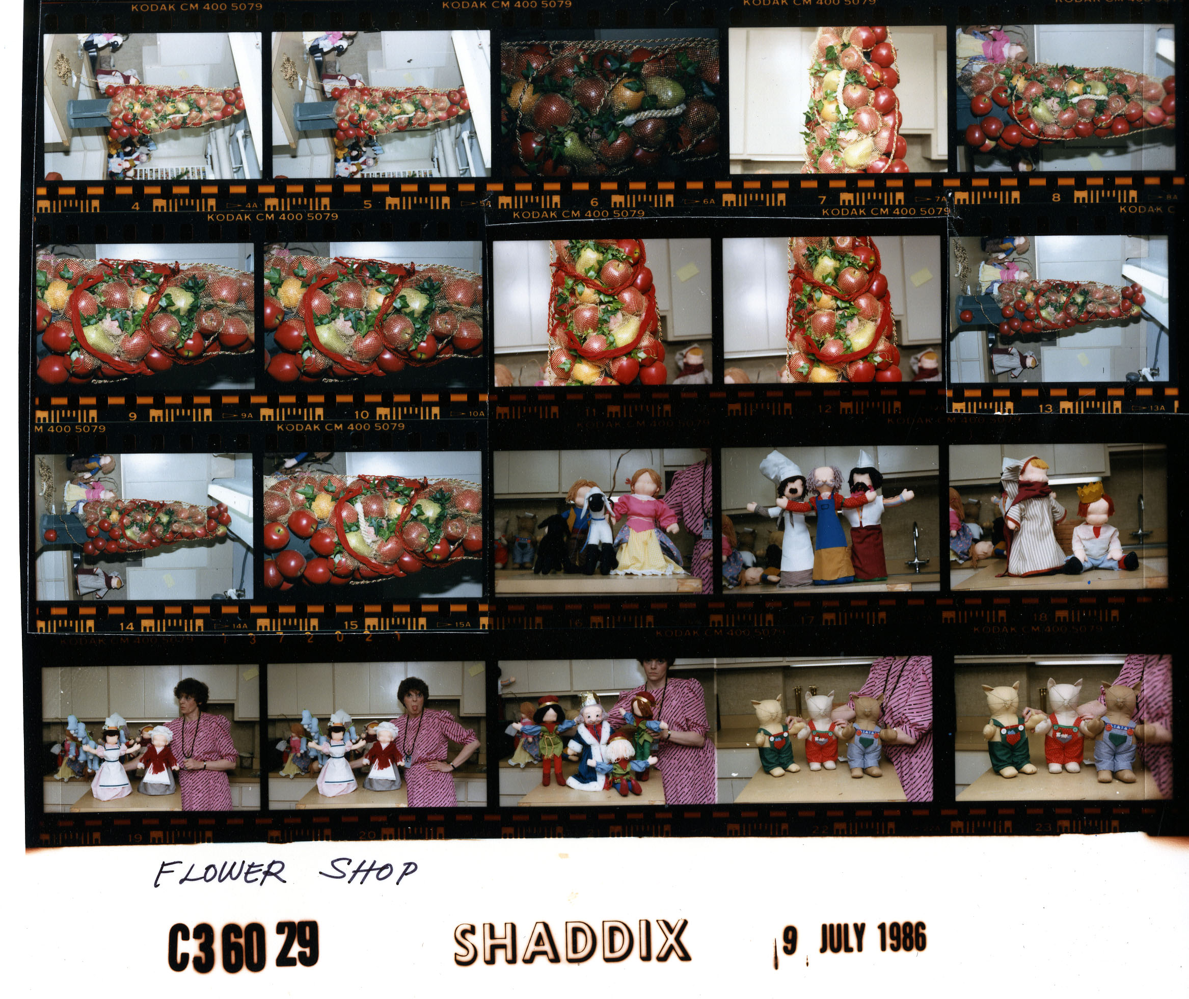 C36029 (01)