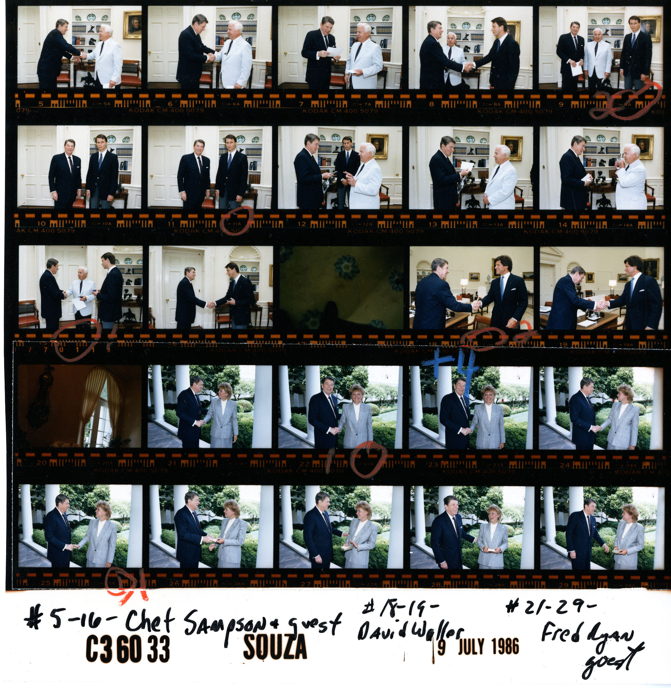 C36033 (01)