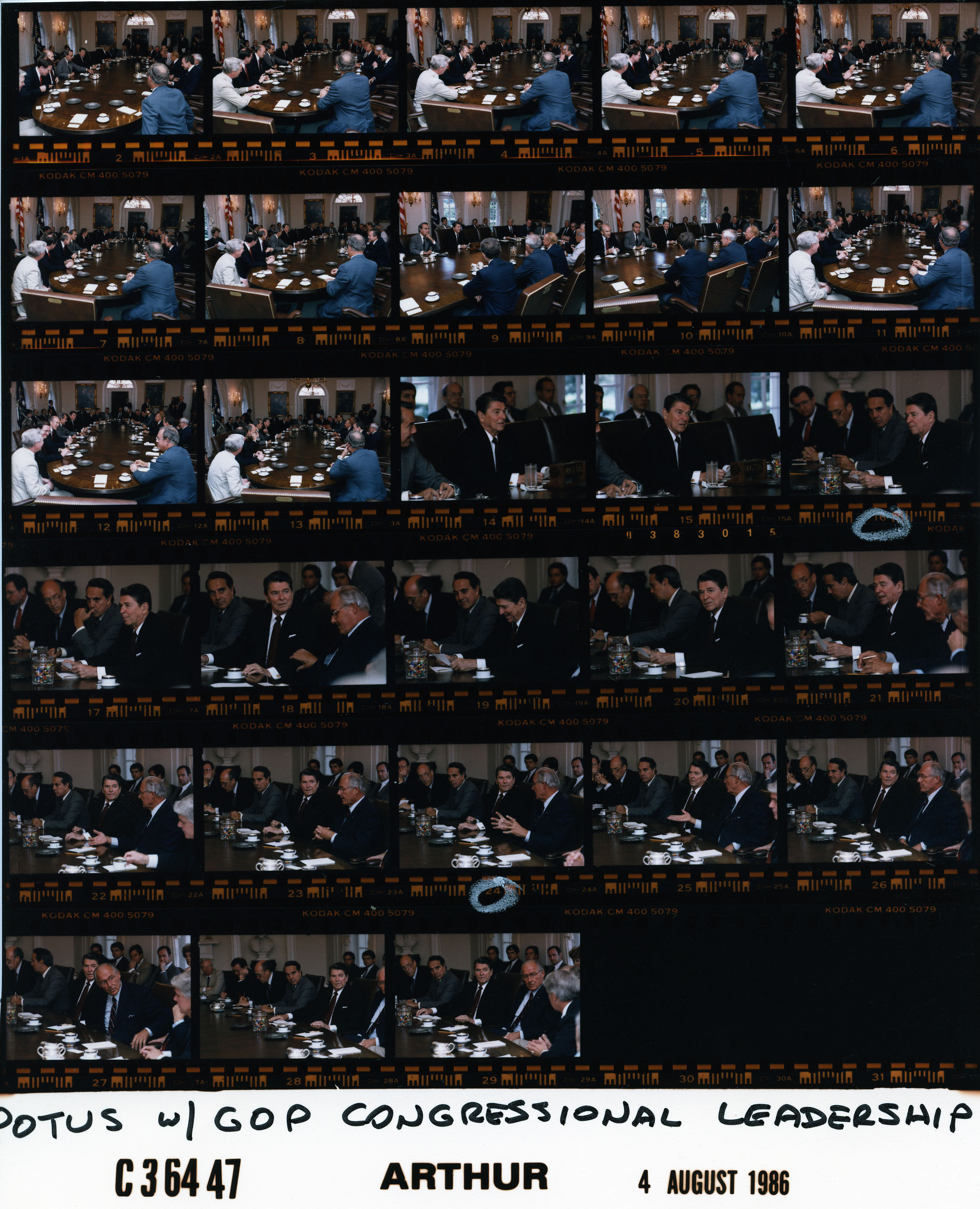 C36447 (01)