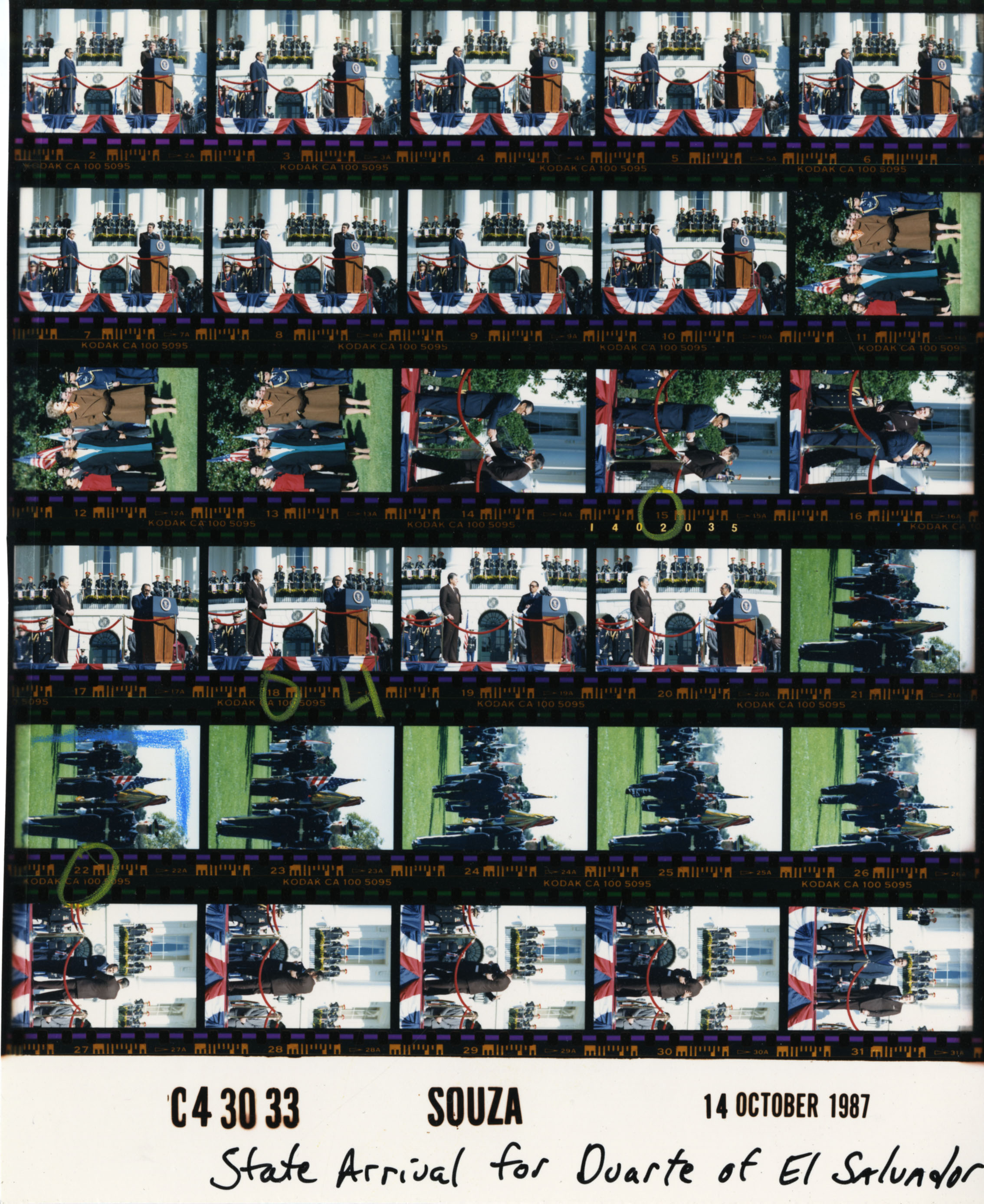 C43033 (01)