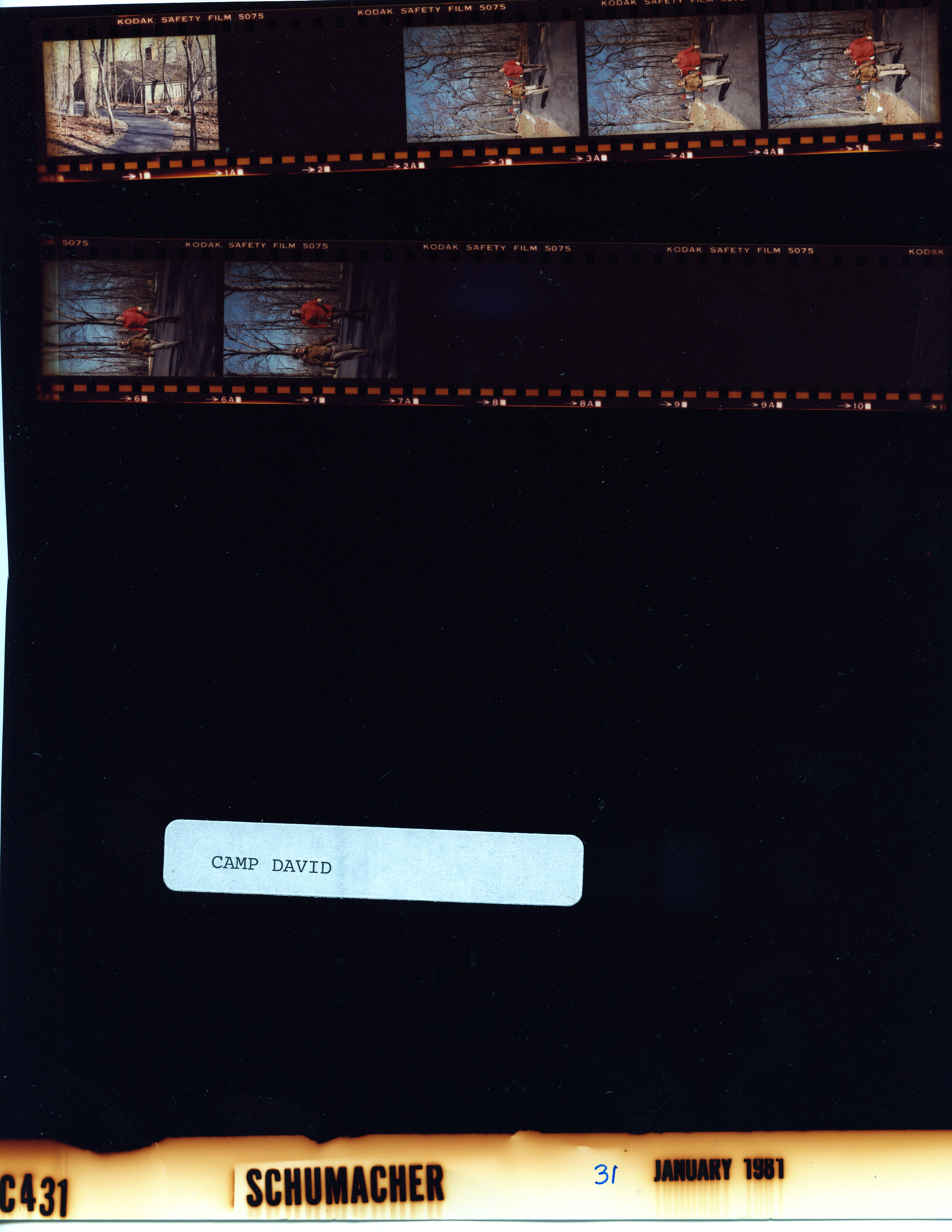 C00431 (01)