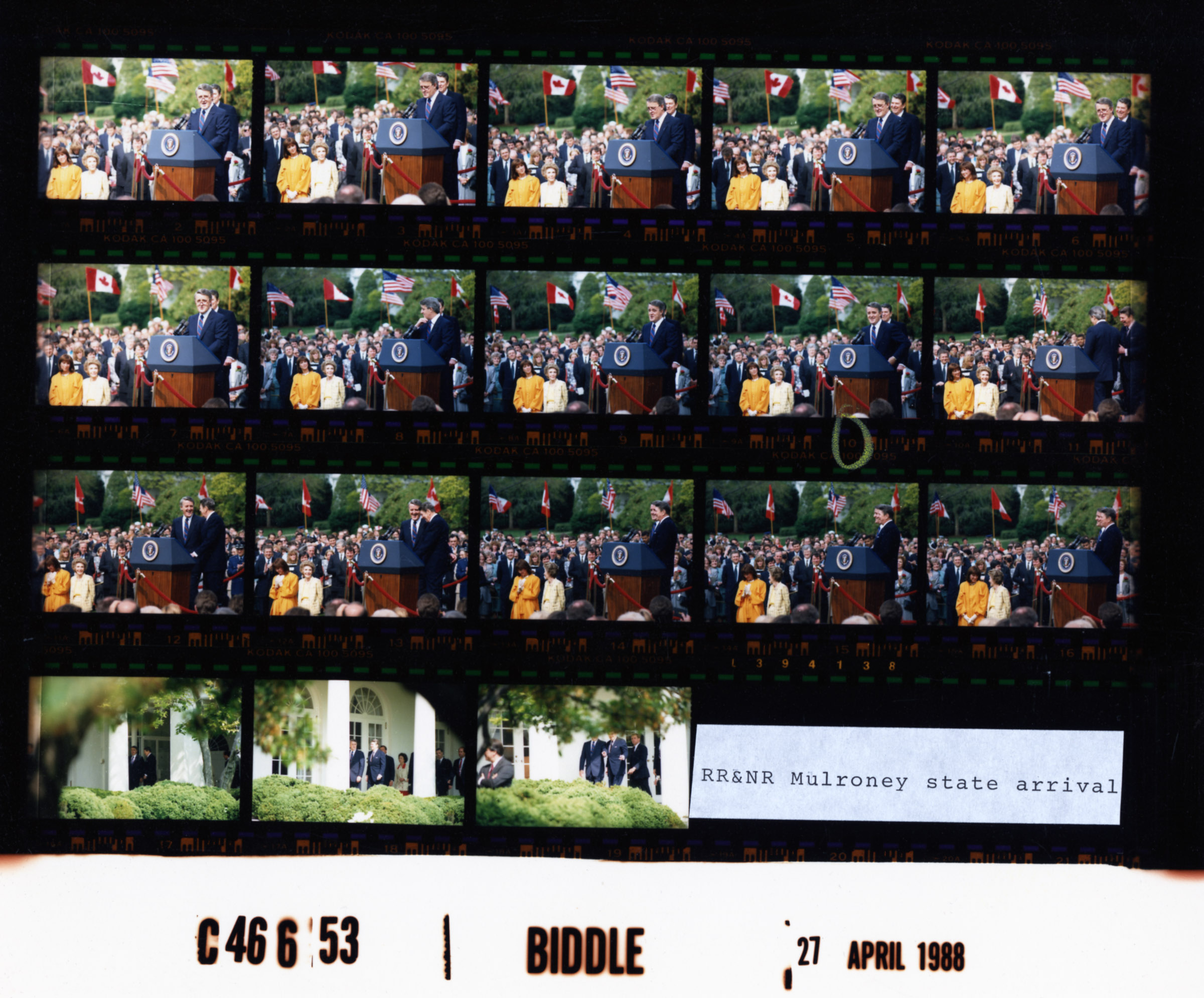C46653 (01)