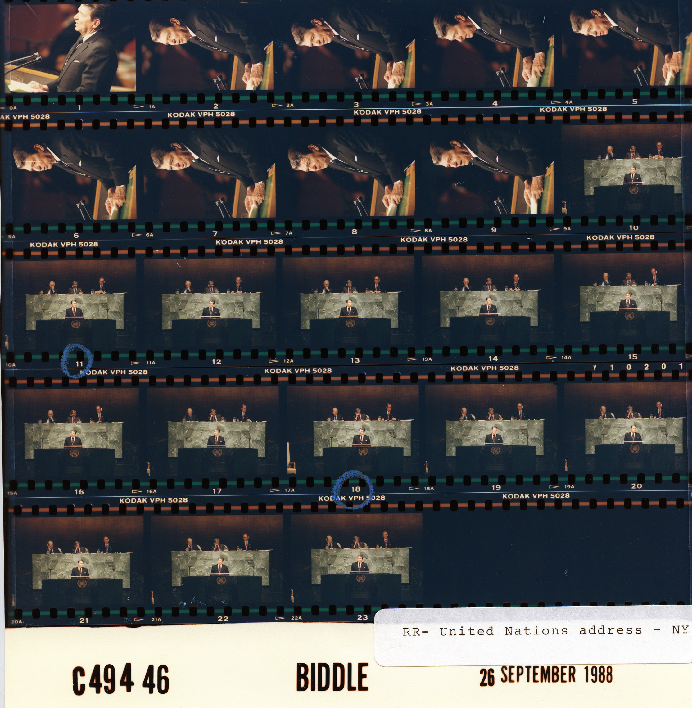 C49446 (01)